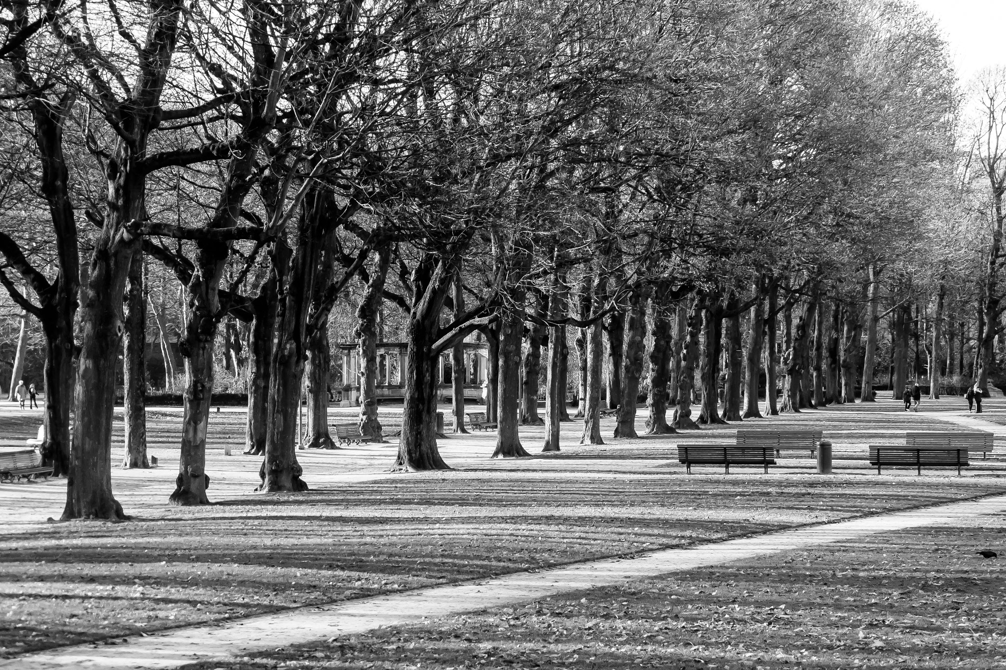 Olympus PEN E-P5 sample photo. Bench photography