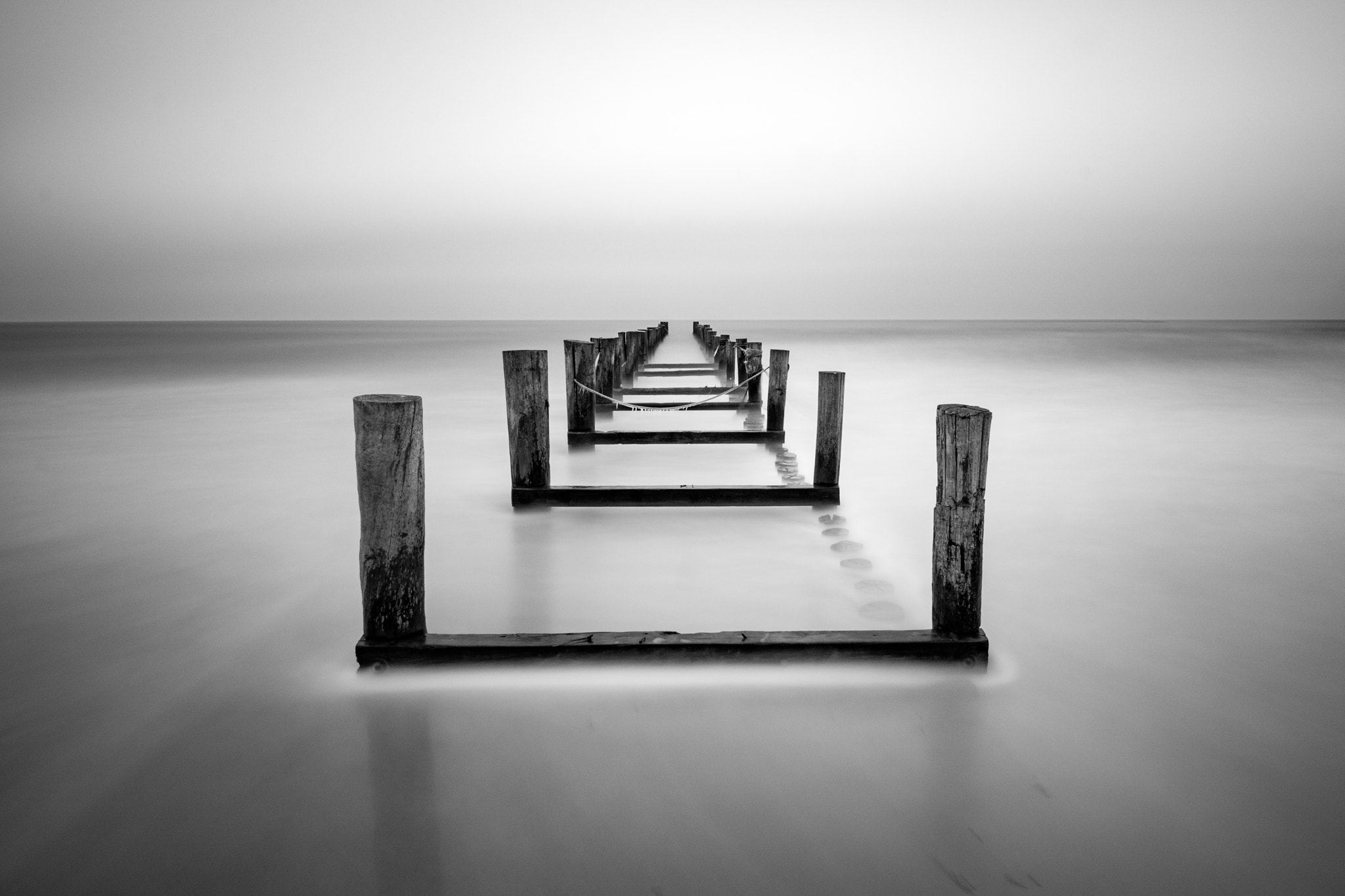 Canon EF-S 10-18mm F4.5–5.6 IS STM sample photo. Peeking through the haze | zingst, germany photography