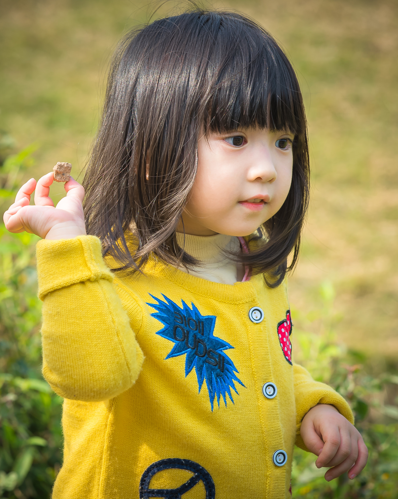 ZEISS Apo Sonnar T* 135mm F2 sample photo. Hzy_0919.jpg photography