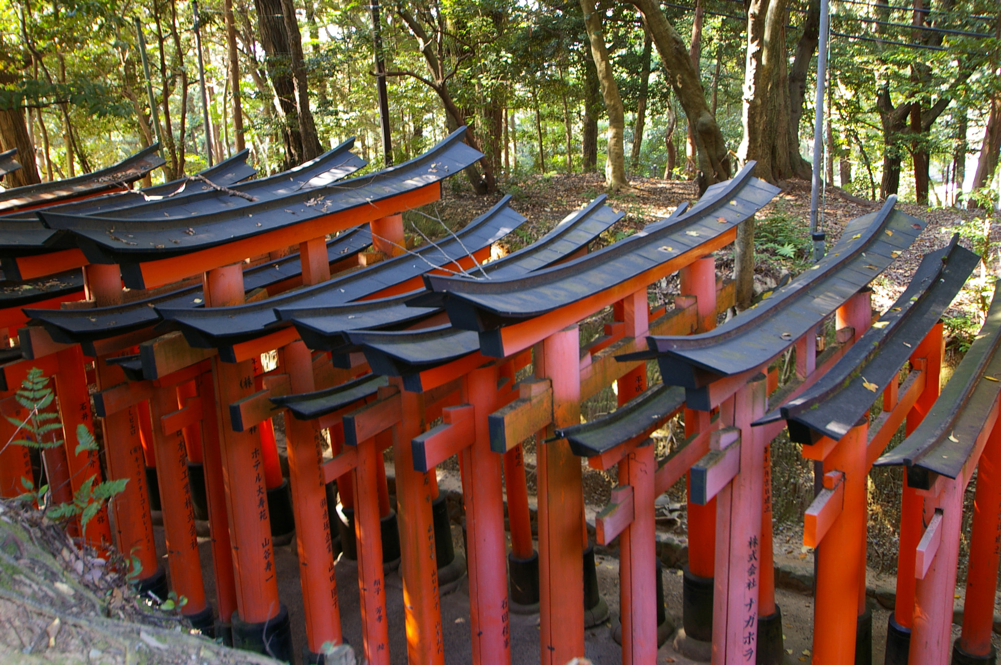 Pentax *ist DL sample photo. Fushimi inari taisha photography