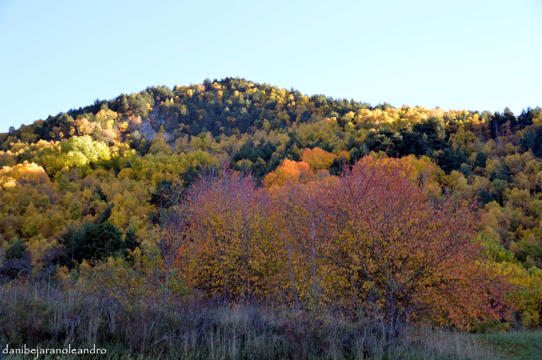 Sigma 18-200mm F3.5-6.3 II DC OS HSM sample photo. Farrera, lleida. pirineu/pyrinees. photography