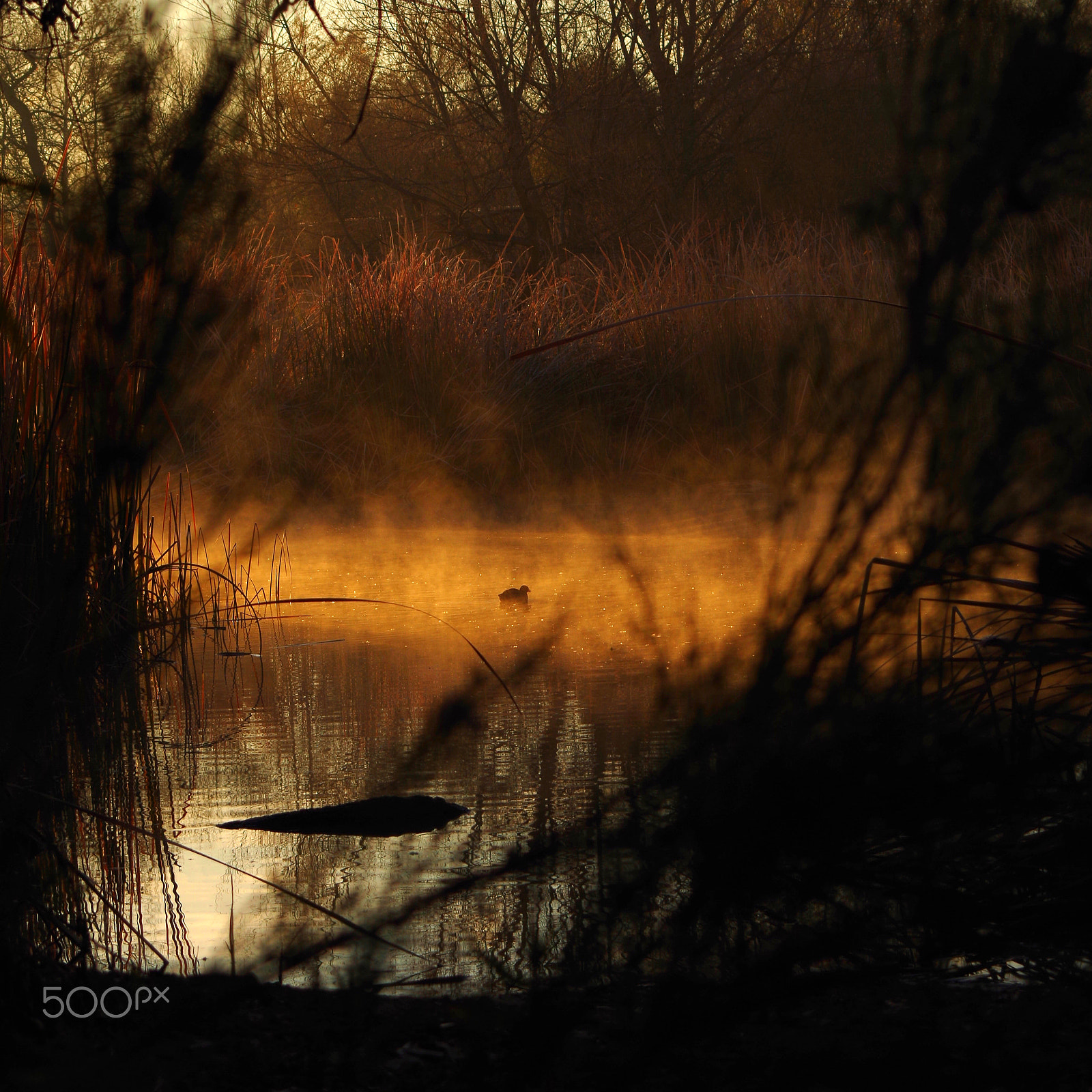 smc PENTAX-F 35-70mm F3.5-4.5 sample photo. Lake photography