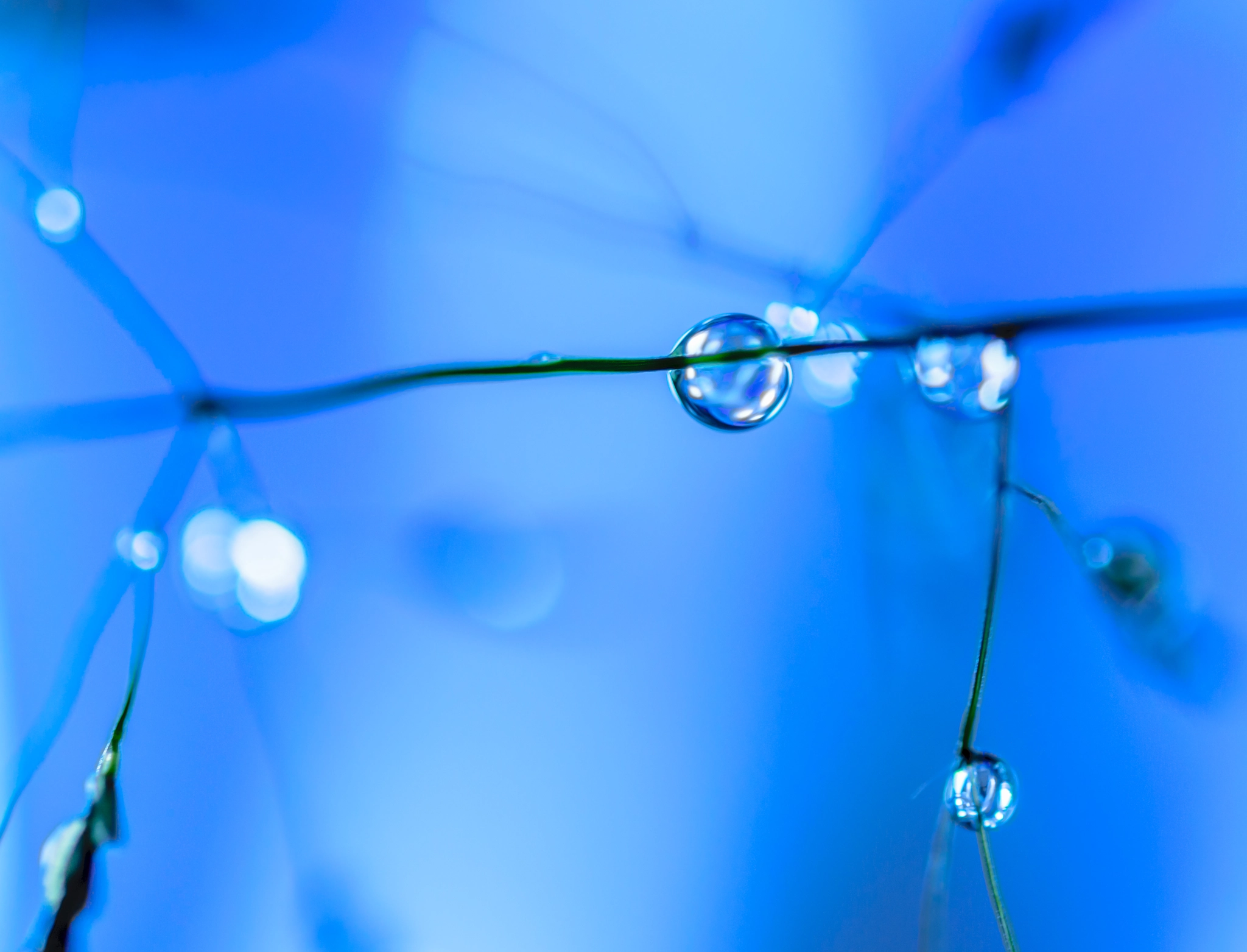 Nikon AF-S Micro-Nikkor 60mm F2.8G ED sample photo. Droplets photography
