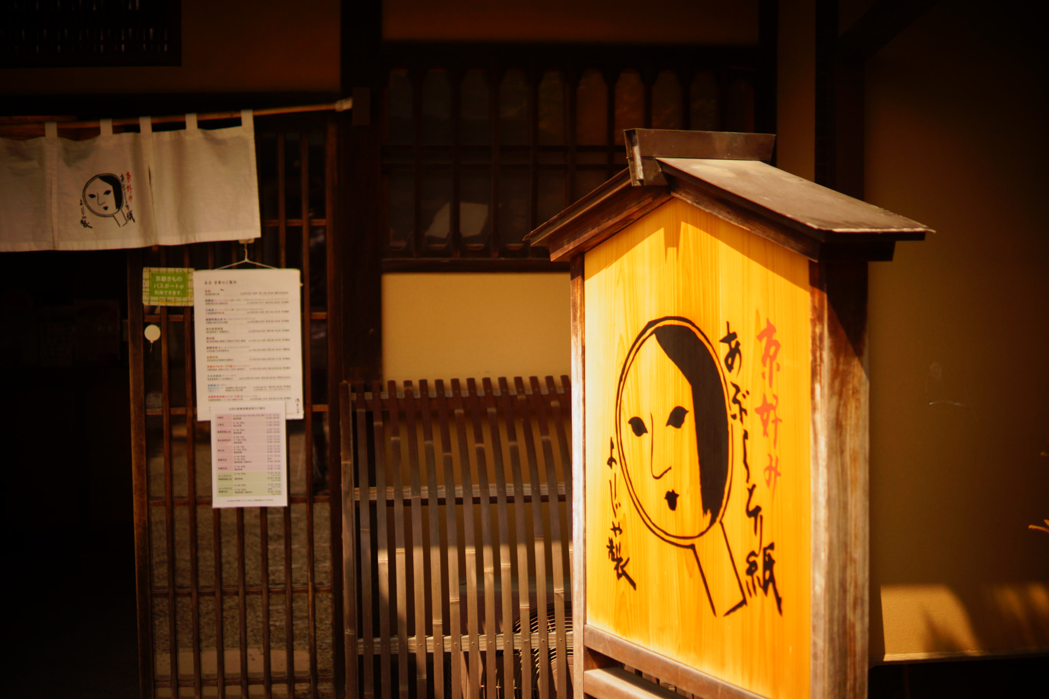 Sony SLT-A65 (SLT-A65V) + Sony DT 35mm F1.8 SAM sample photo. Kyoto photography