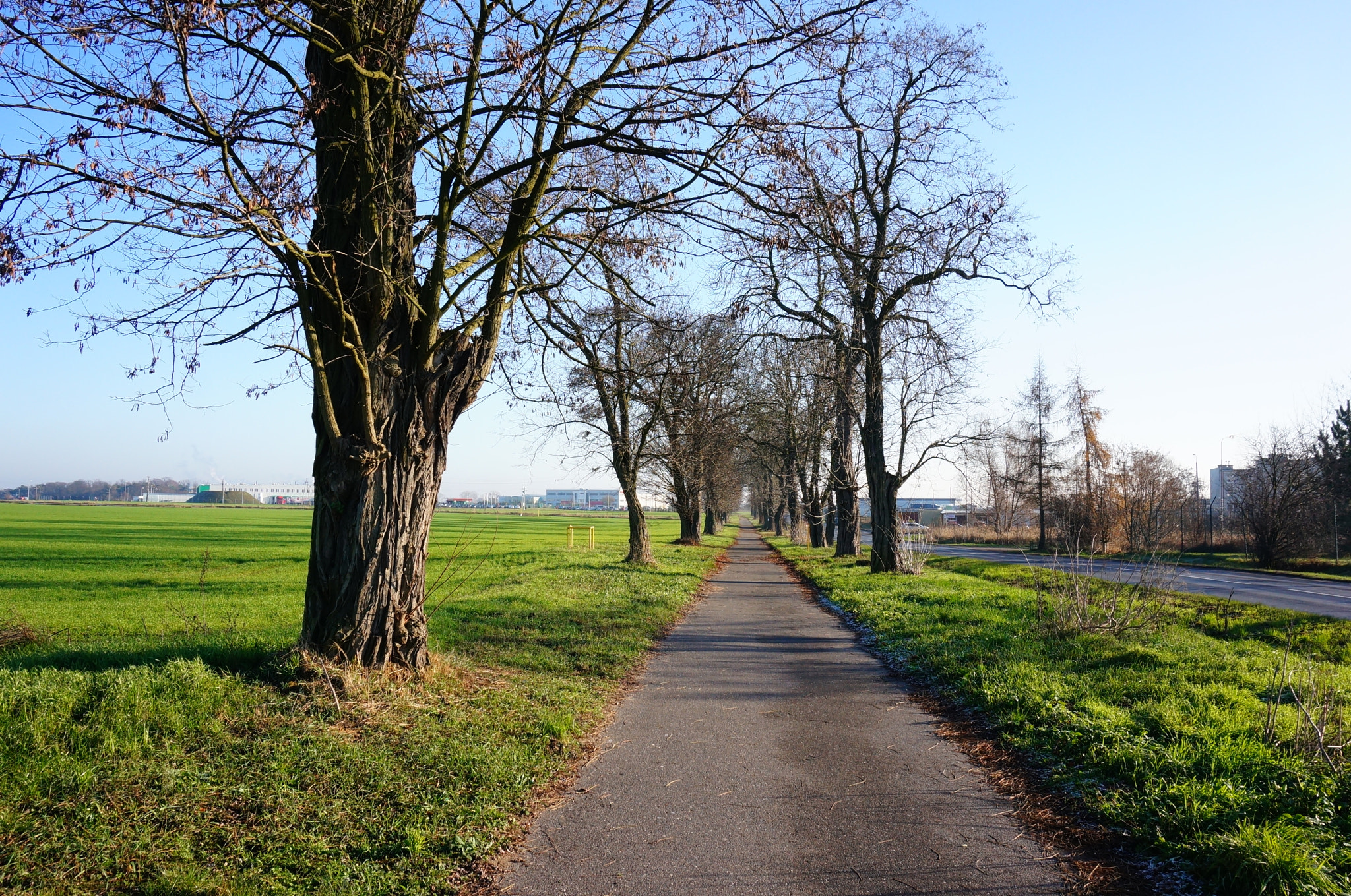 Sony E 16-50mm F3.5-5.6 PZ OSS sample photo. Footpath and trees photography