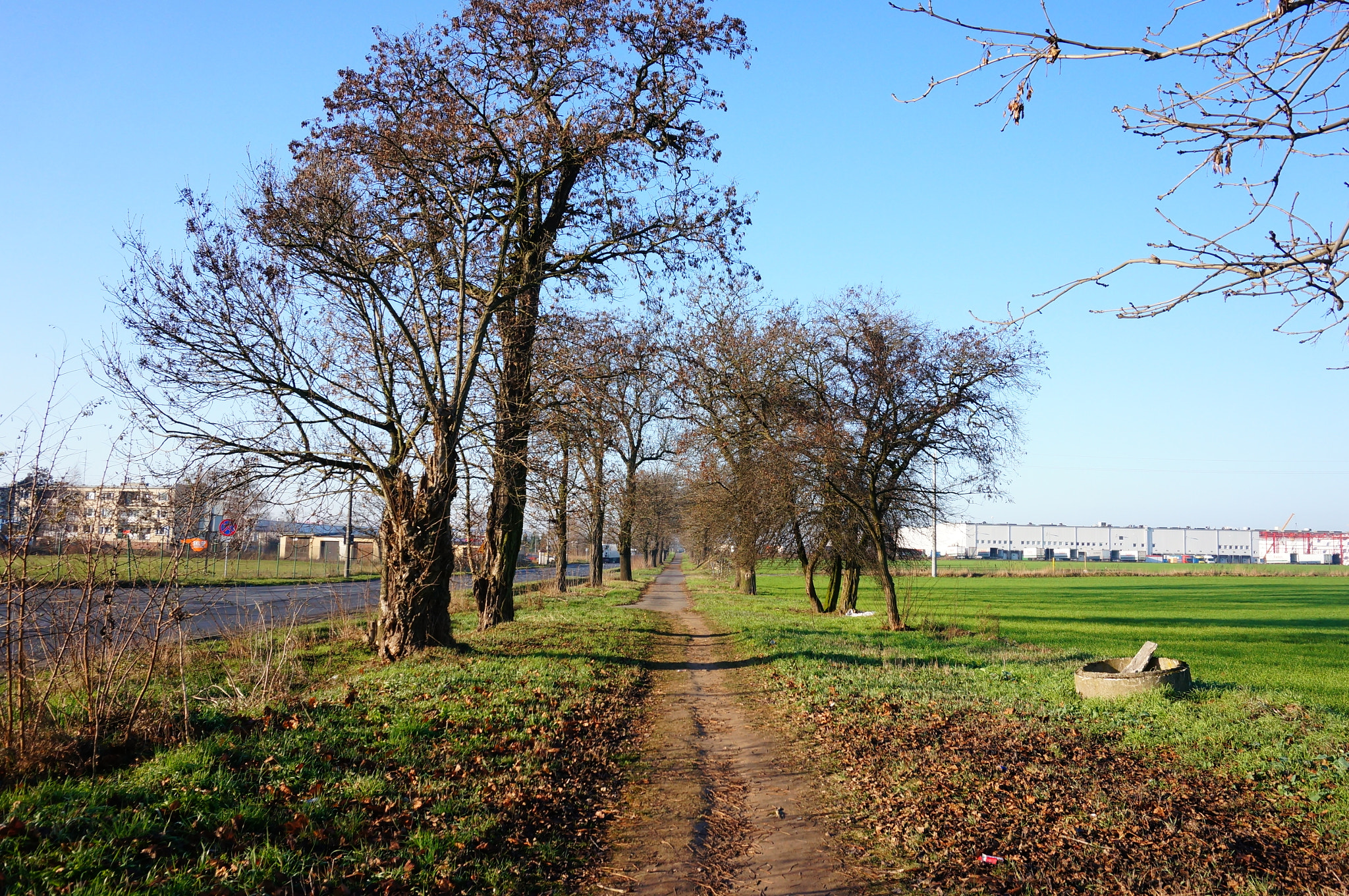 Sony E 16-50mm F3.5-5.6 PZ OSS sample photo. Footpath and trees photography