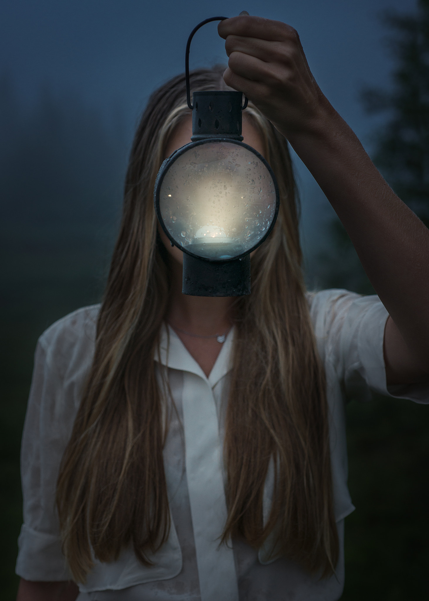 Nikon D800E + Nikon AF Micro-Nikkor 60mm F2.8D sample photo. Through the looking glass photography