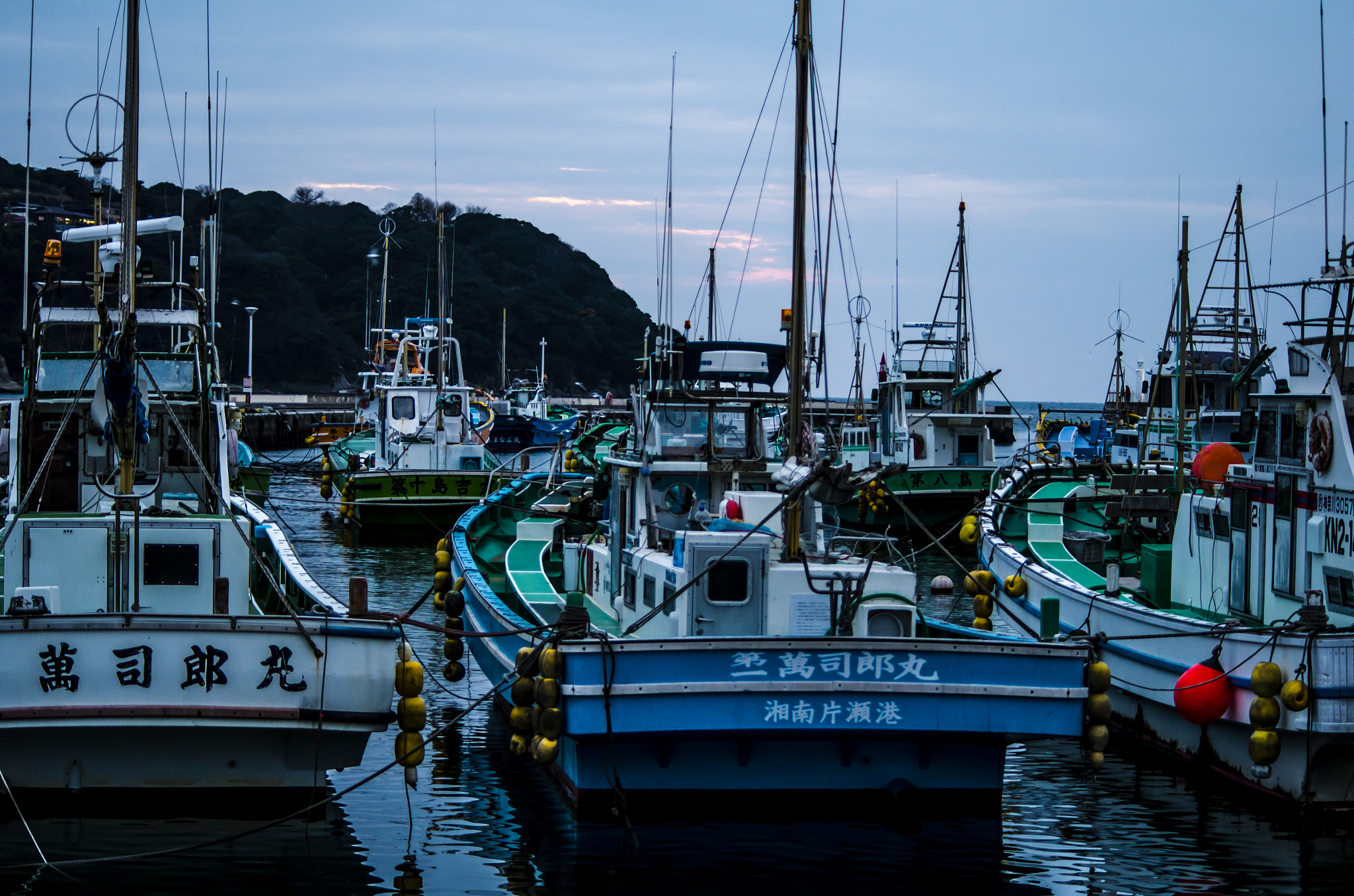 smc PENTAX-DA L 55-300mm F4-5.8 ED sample photo. _igp9590.jpg photography