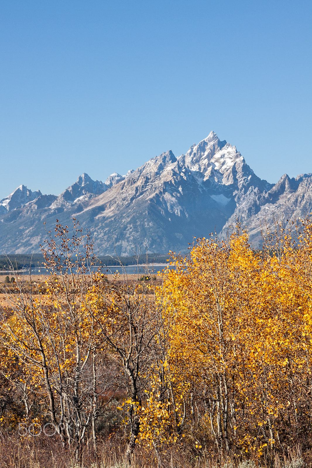 Canon EOS 50D + EF28-70mm f/2.8L USM sample photo. Teton national park autumn landscape photography