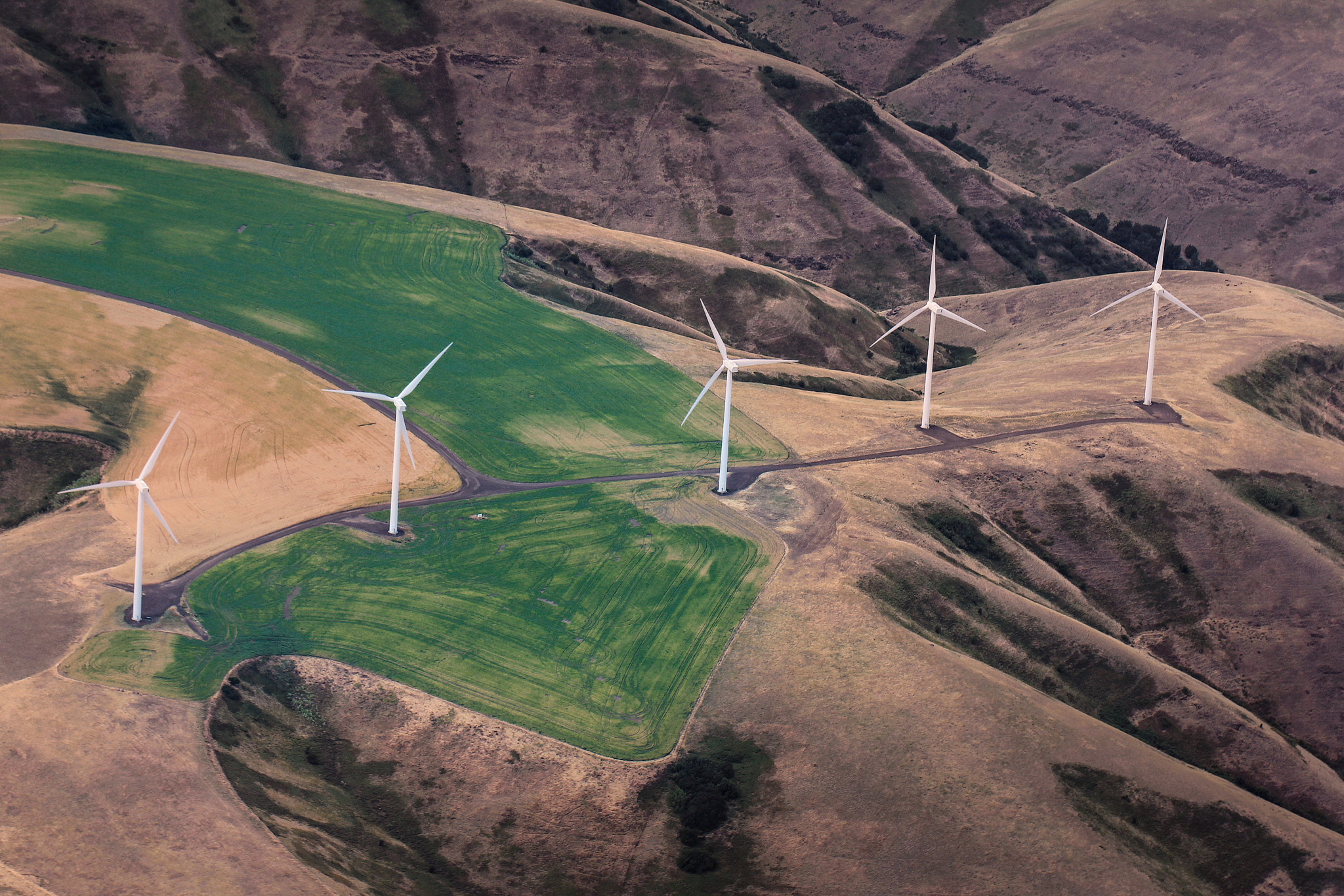 Canon EF 100mm F2.8L Macro IS USM sample photo. Wind turbines on canyon breaks photography