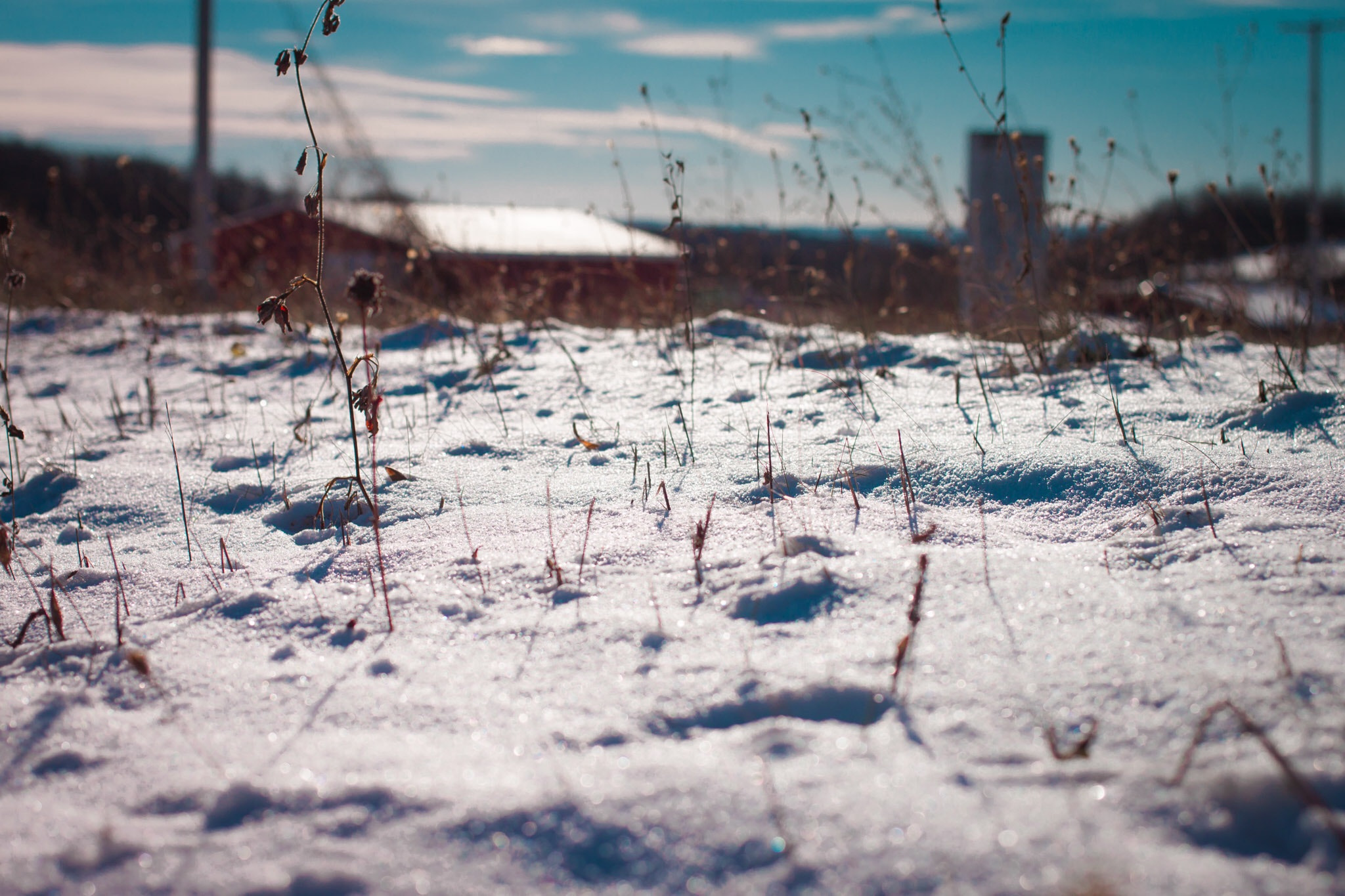 Canon EF 40mm F2.8 STM sample photo. Morning. photography