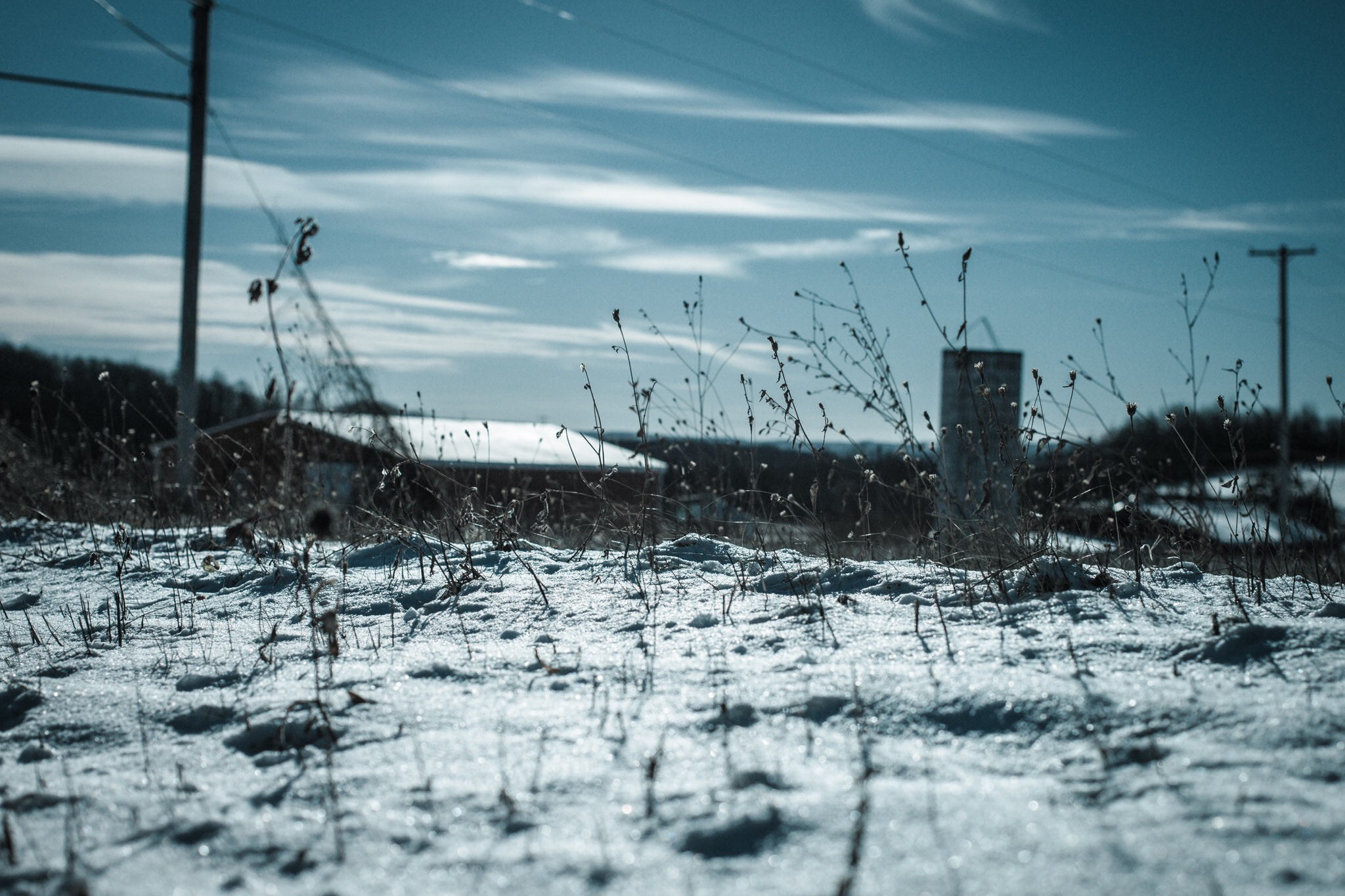 Canon EF 40mm F2.8 STM sample photo. Depth. photography