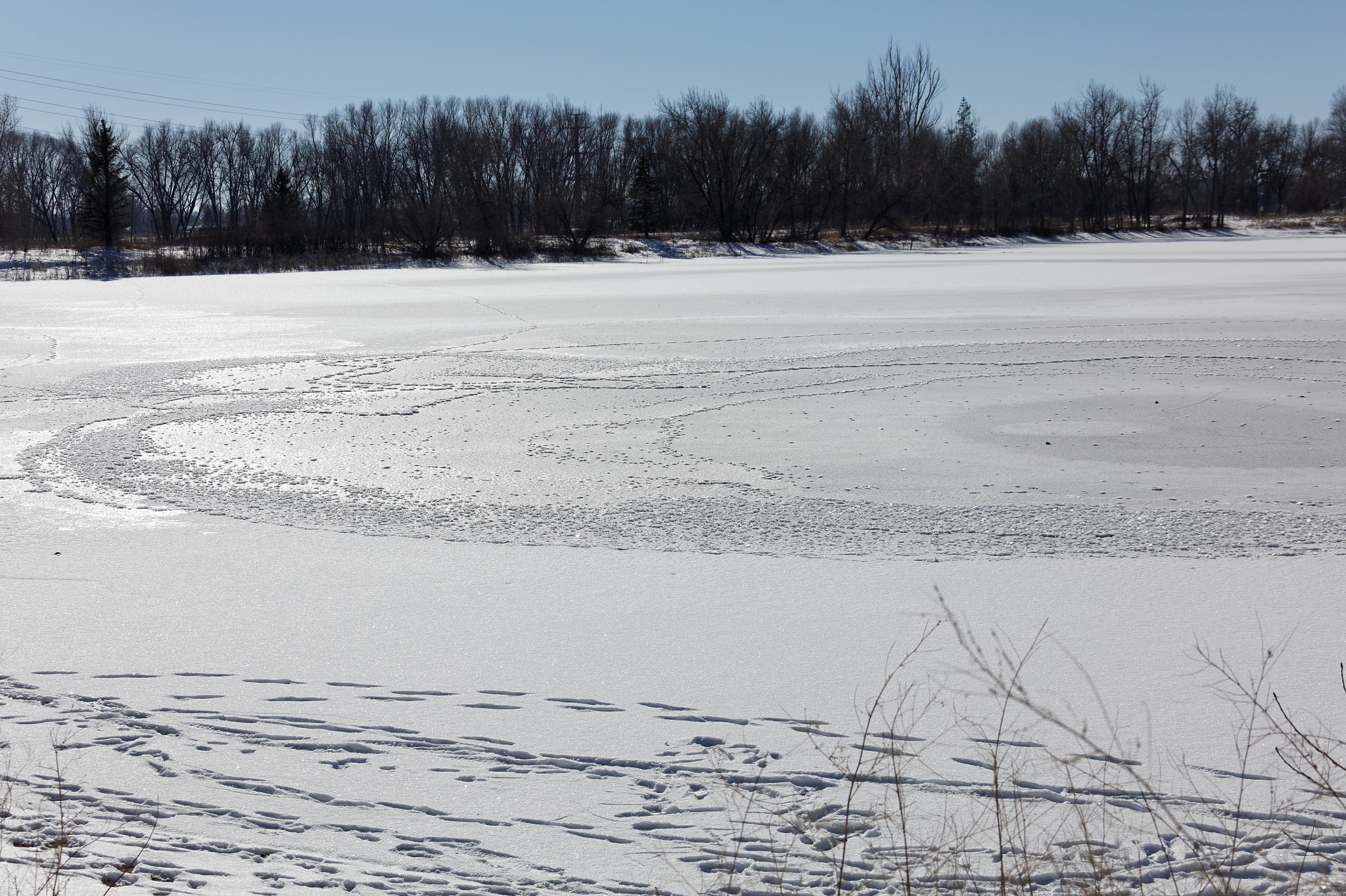 Canon EF 28-300mm F3.5-5.6L IS USM sample photo. Golden ponds, longmont, colorado photography