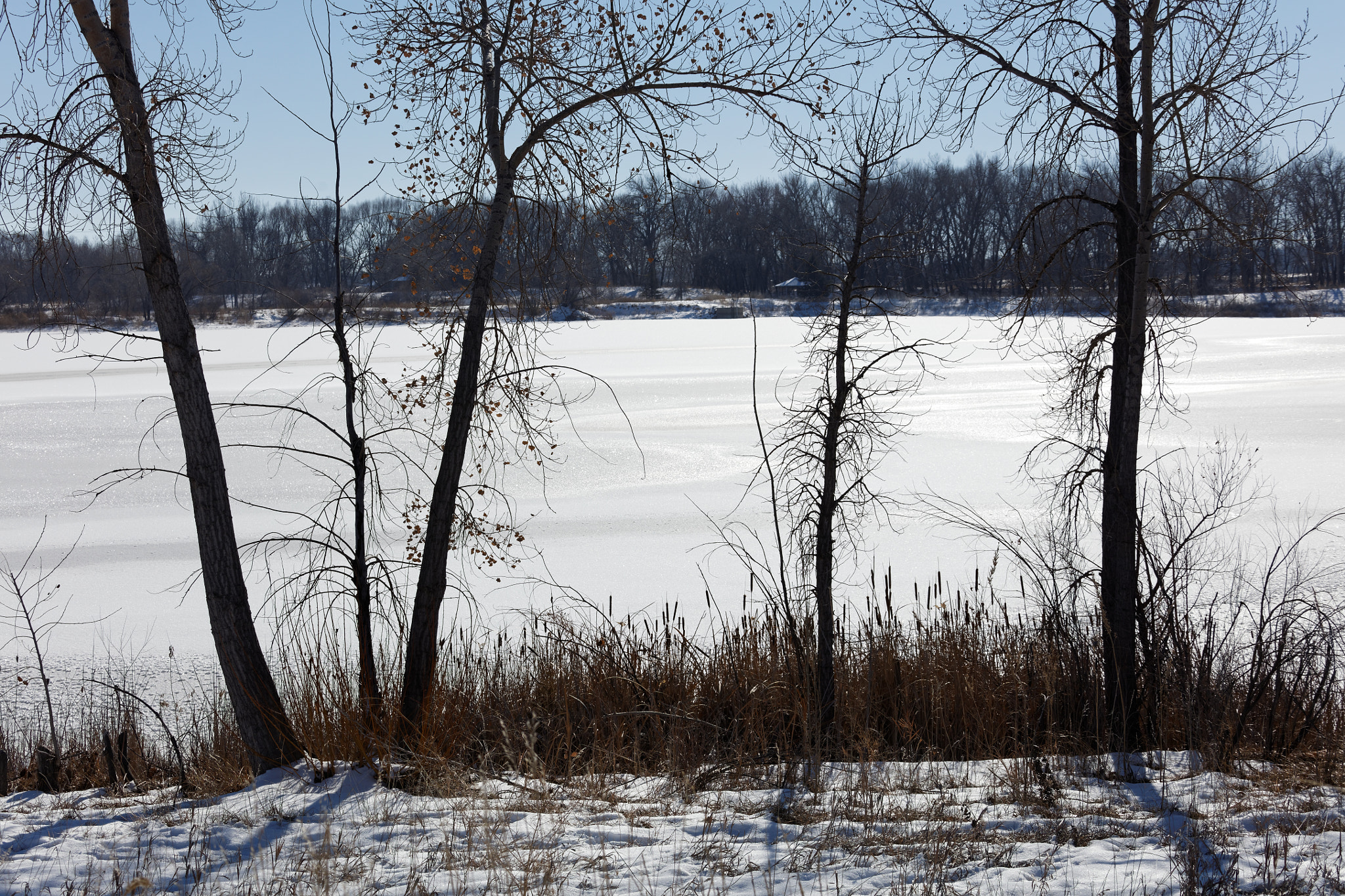Canon EF 28-300mm F3.5-5.6L IS USM sample photo. Golden ponds, longmont, colorado photography