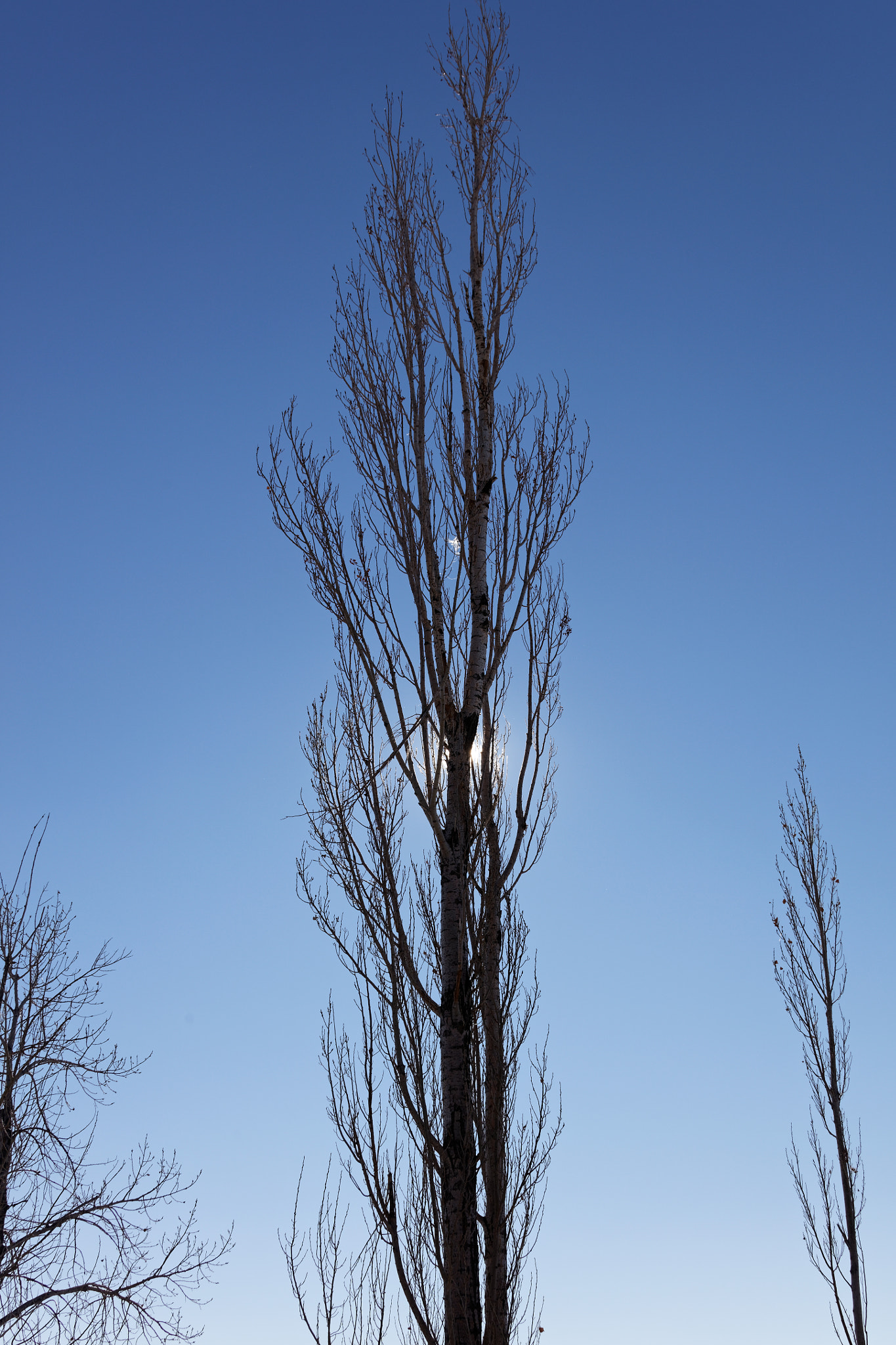 Canon EF 28-300mm F3.5-5.6L IS USM sample photo. Golden ponds, longmont, colorado photography