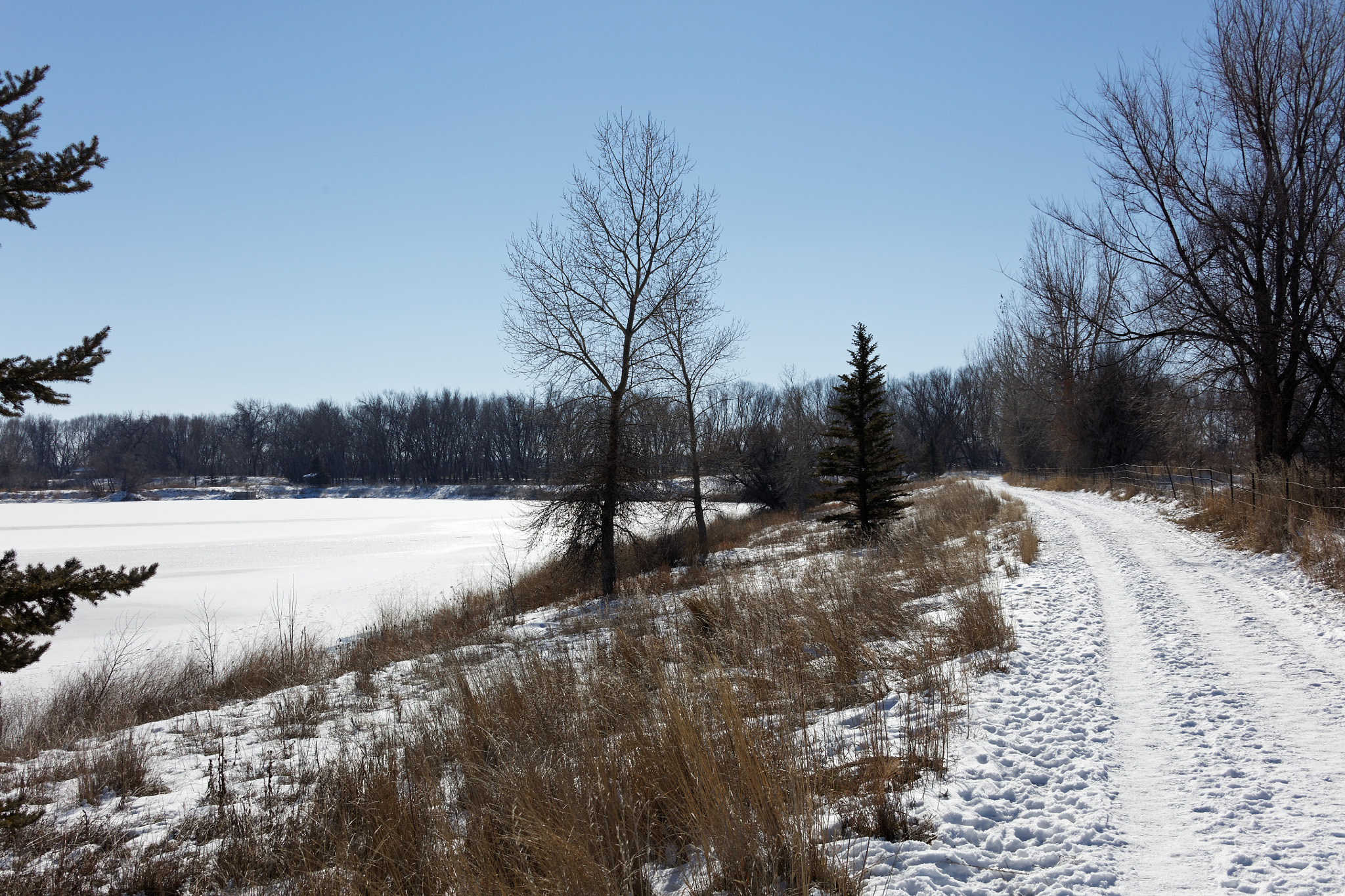 Canon EF 28-300mm F3.5-5.6L IS USM sample photo. Golden ponds, longmont, colorado photography