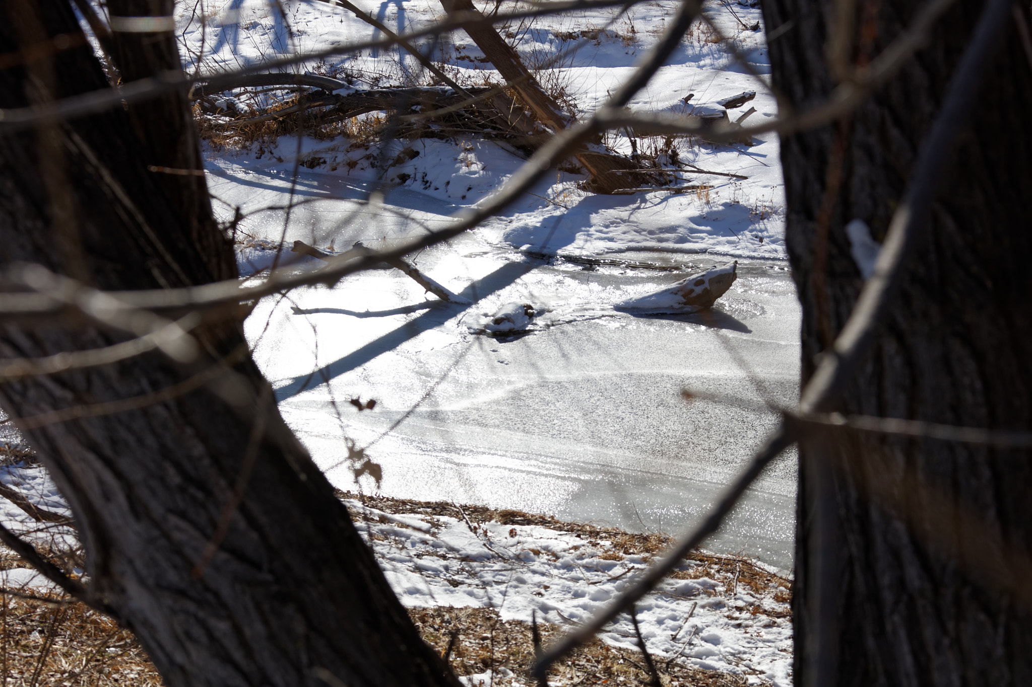 Canon EF 28-300mm F3.5-5.6L IS USM sample photo. Golden ponds, longmont, colorado photography