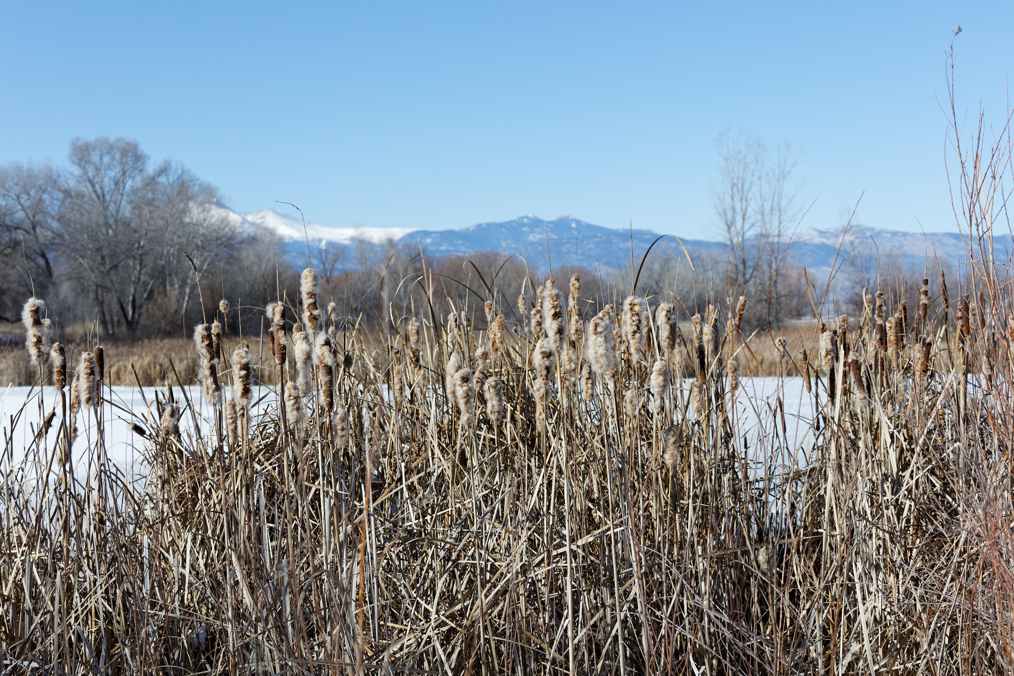 Canon EF 28-300mm F3.5-5.6L IS USM sample photo. Golden ponds, longmont, colorado photography
