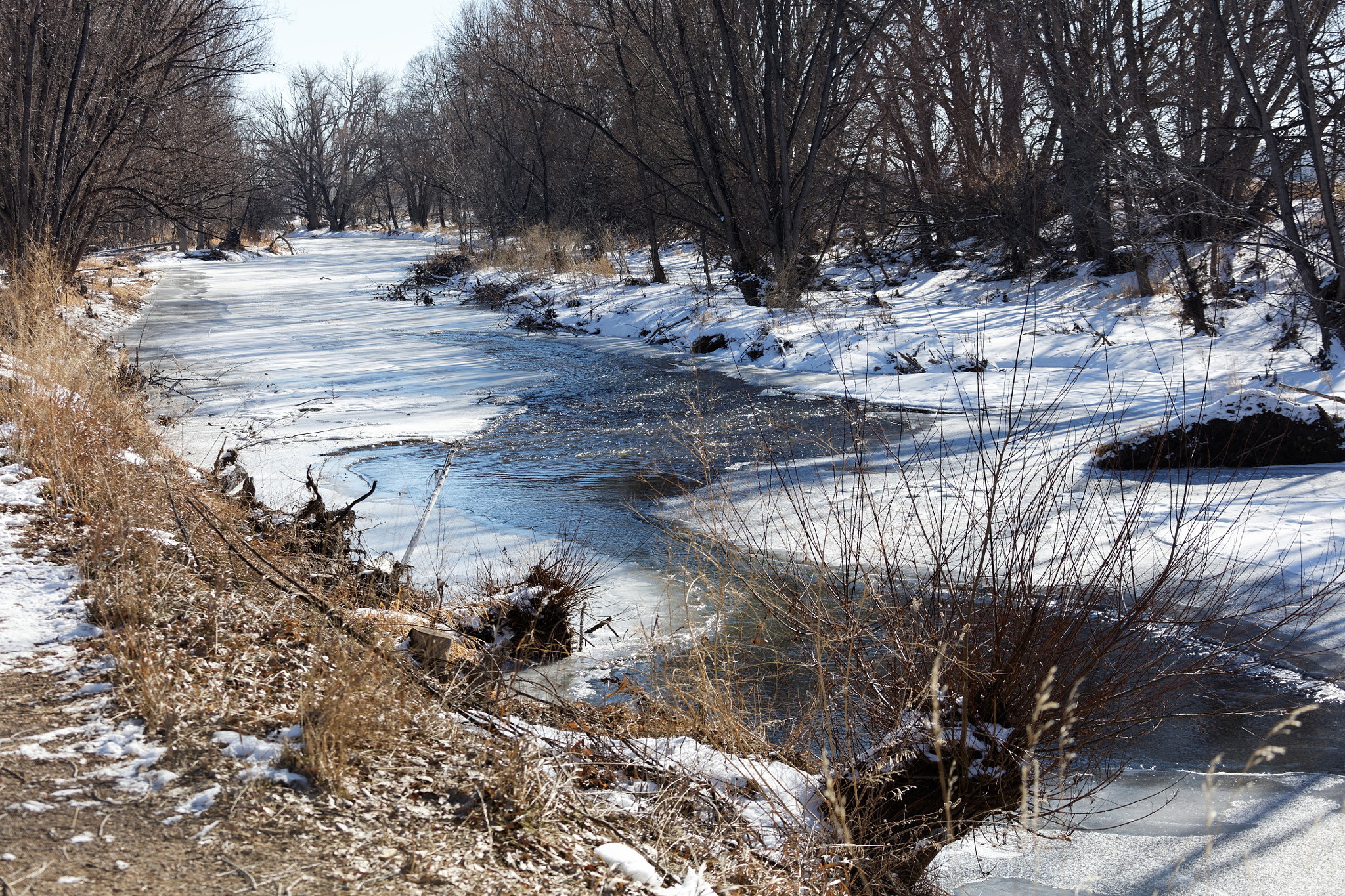 Canon EF 28-300mm F3.5-5.6L IS USM sample photo. Golden ponds, longmont, colorado photography