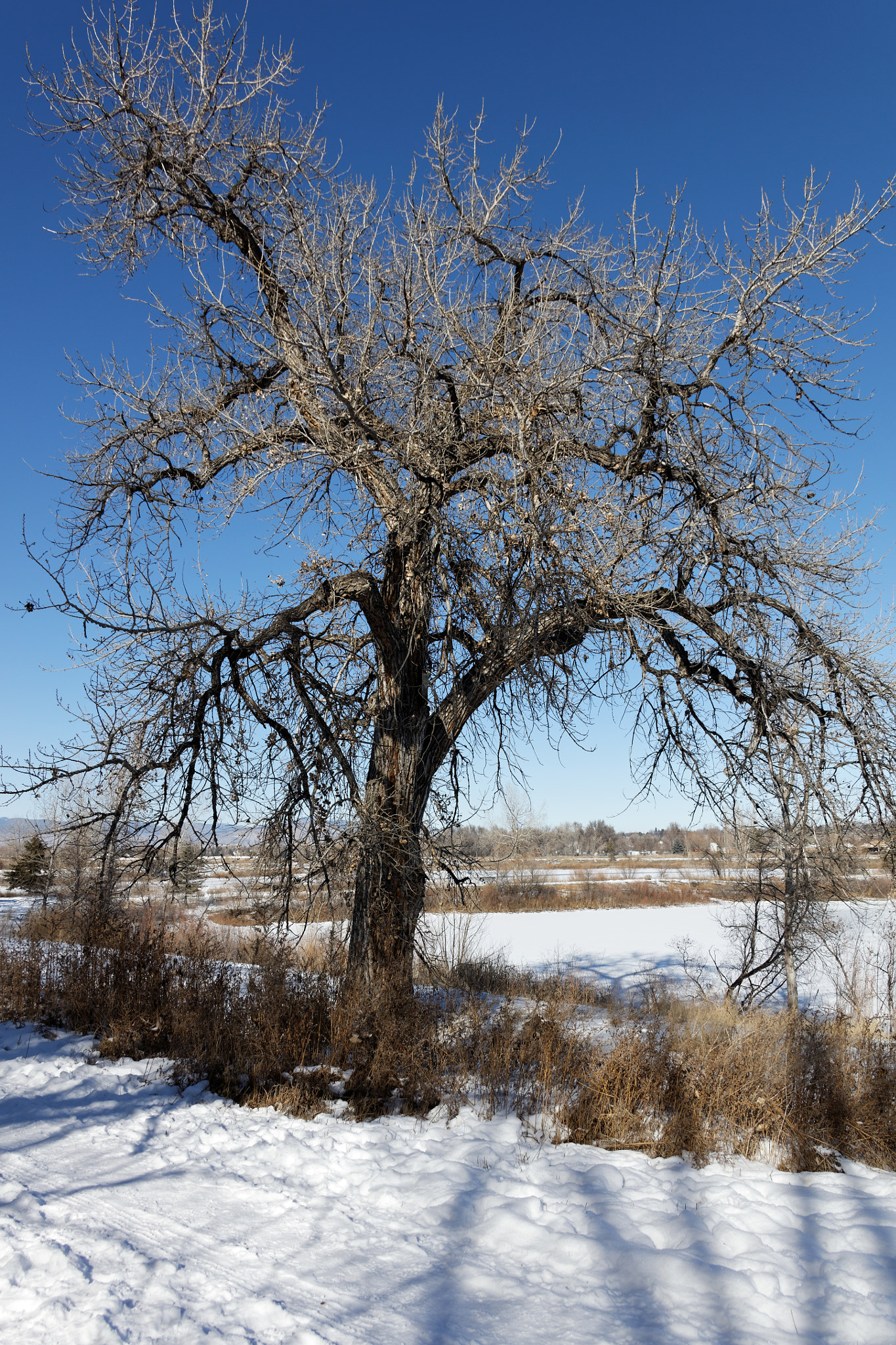 Canon EF 28-300mm F3.5-5.6L IS USM sample photo. Golden ponds, longmont, colorado photography