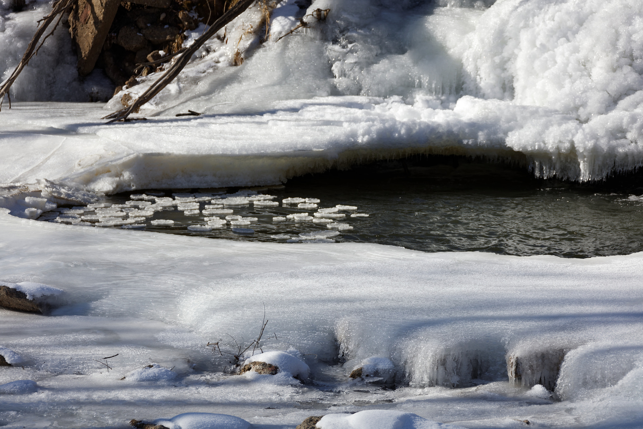 Canon EF 28-300mm F3.5-5.6L IS USM sample photo. Golden ponds, longmont, colorado photography