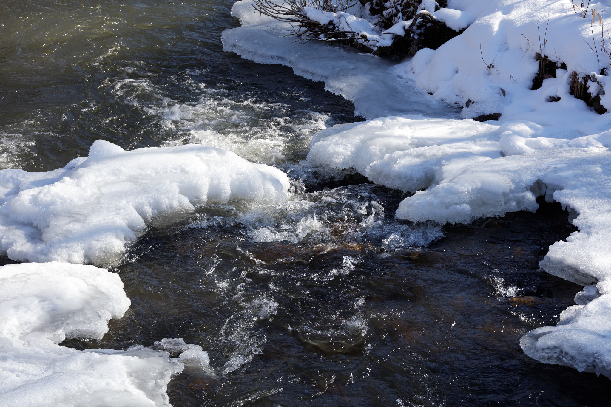 Canon EF 28-300mm F3.5-5.6L IS USM sample photo. Golden ponds, longmont, colorado photography