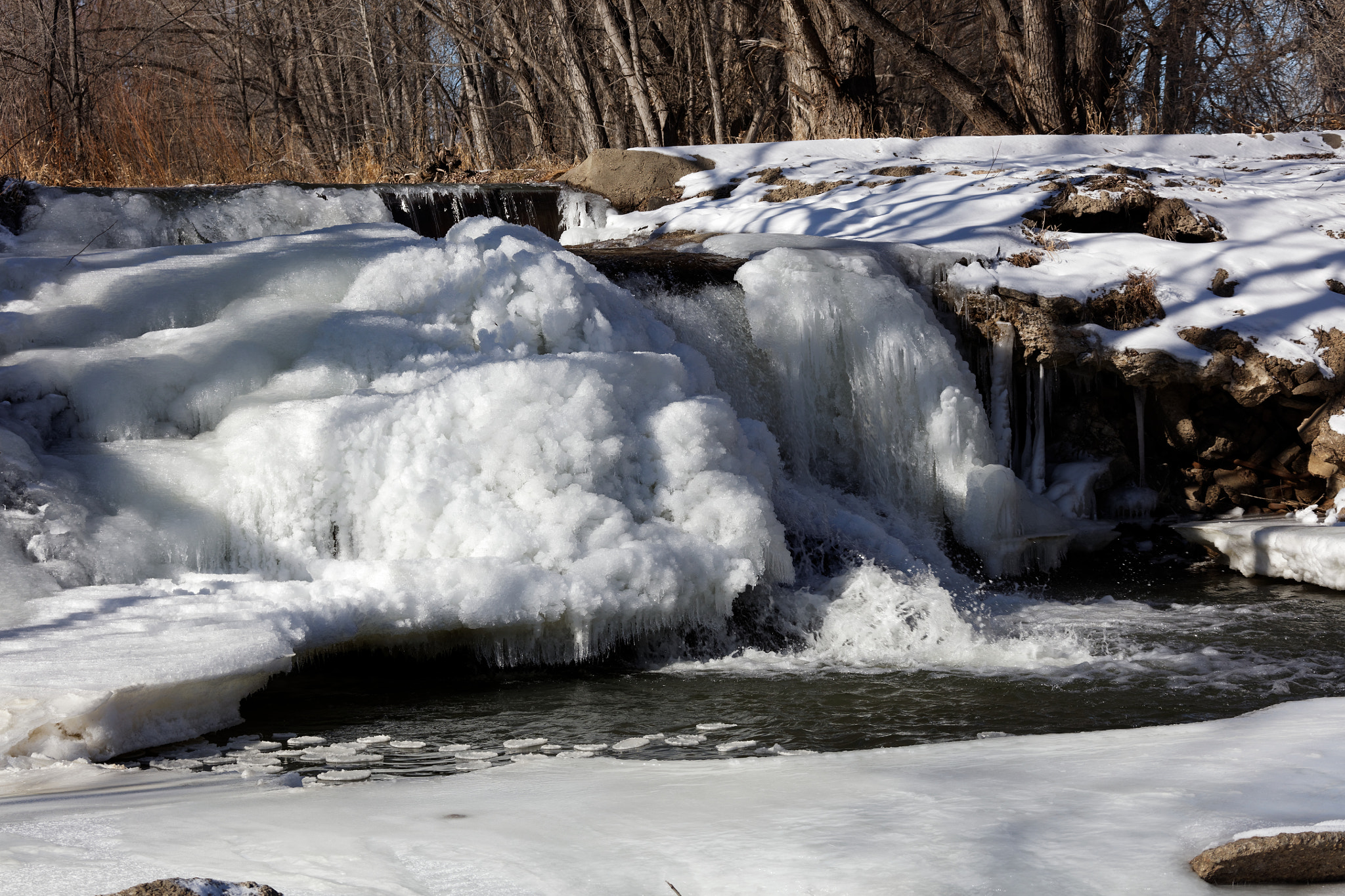 Canon EF 28-300mm F3.5-5.6L IS USM sample photo. Golden ponds, longmont, colorado photography