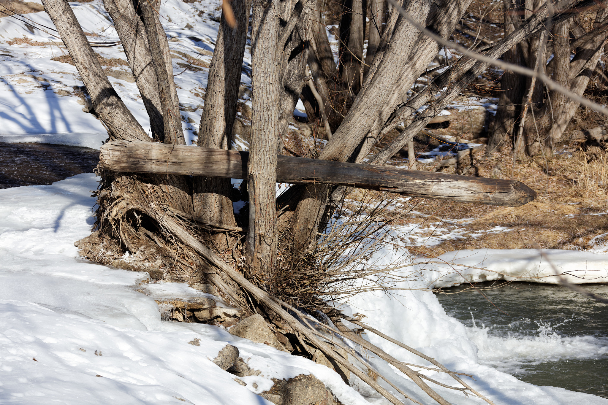 Canon EF 28-300mm F3.5-5.6L IS USM sample photo. Golden ponds, longmont, colorado photography