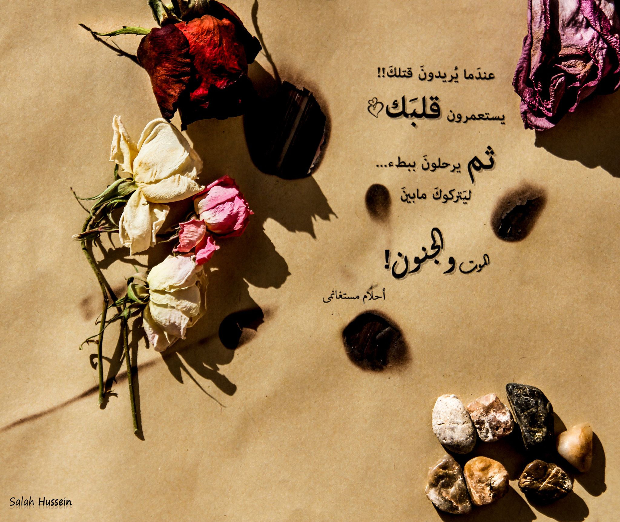 Sigma 18-200mm f/3.5-6.3 DC OS sample photo. الموت والجنون photography