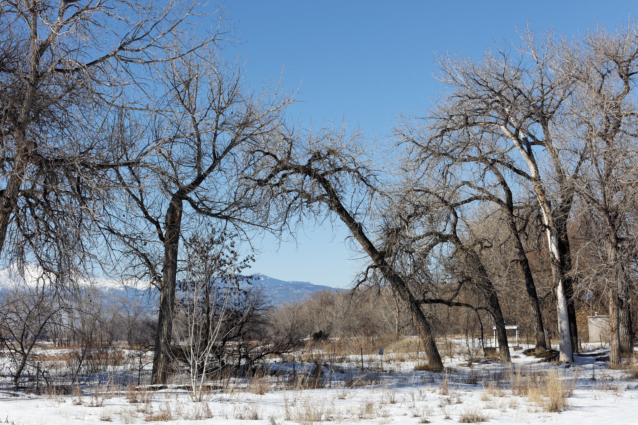Canon EF 28-300mm F3.5-5.6L IS USM sample photo. Golden ponds, longmont, colorado photography
