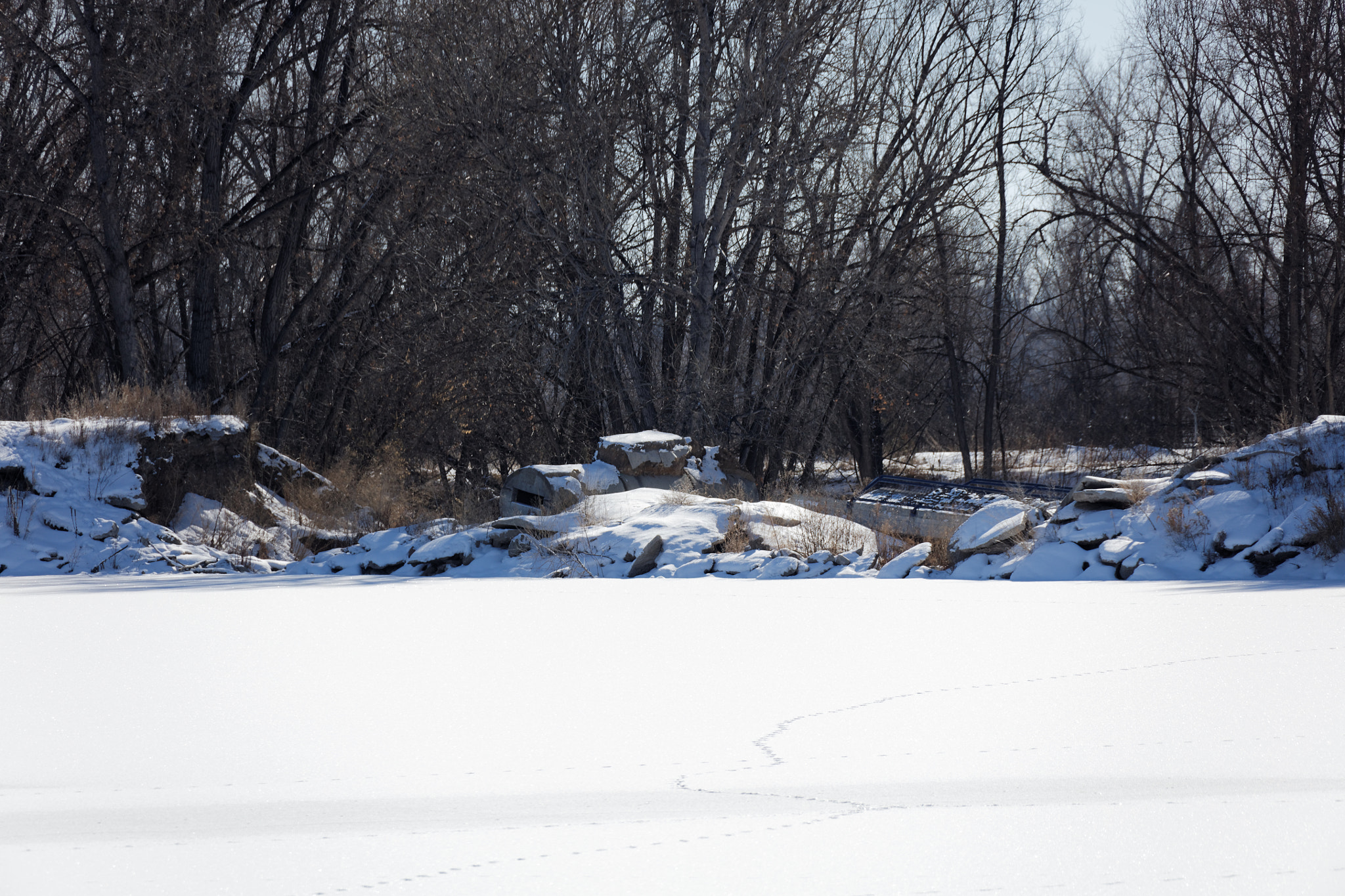 Canon EF 28-300mm F3.5-5.6L IS USM sample photo. Golden ponds, longmont, colorado photography