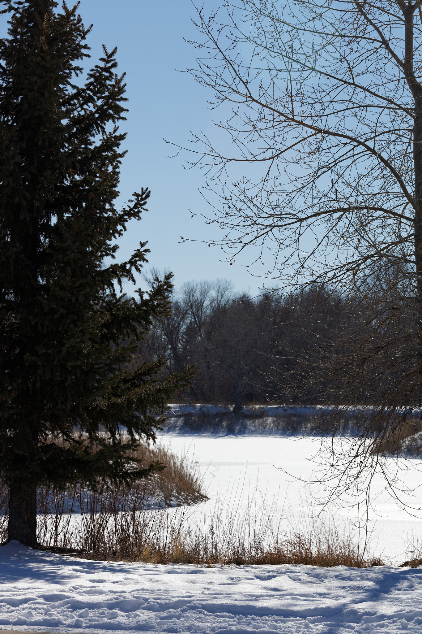 Canon EF 28-300mm F3.5-5.6L IS USM sample photo. Golden ponds, longmont, colorado photography