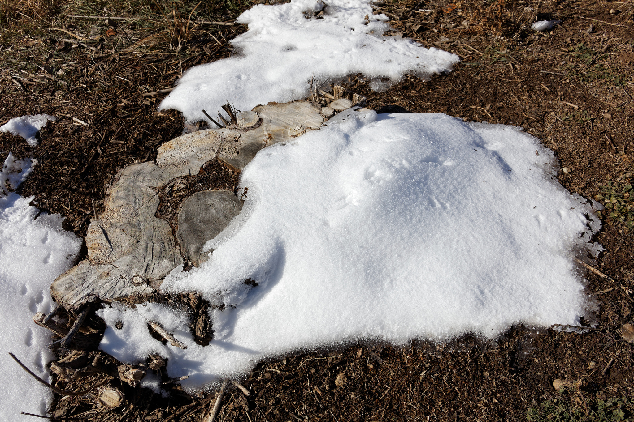 Canon EF 28-300mm F3.5-5.6L IS USM sample photo. Golden ponds, longmont, colorado photography