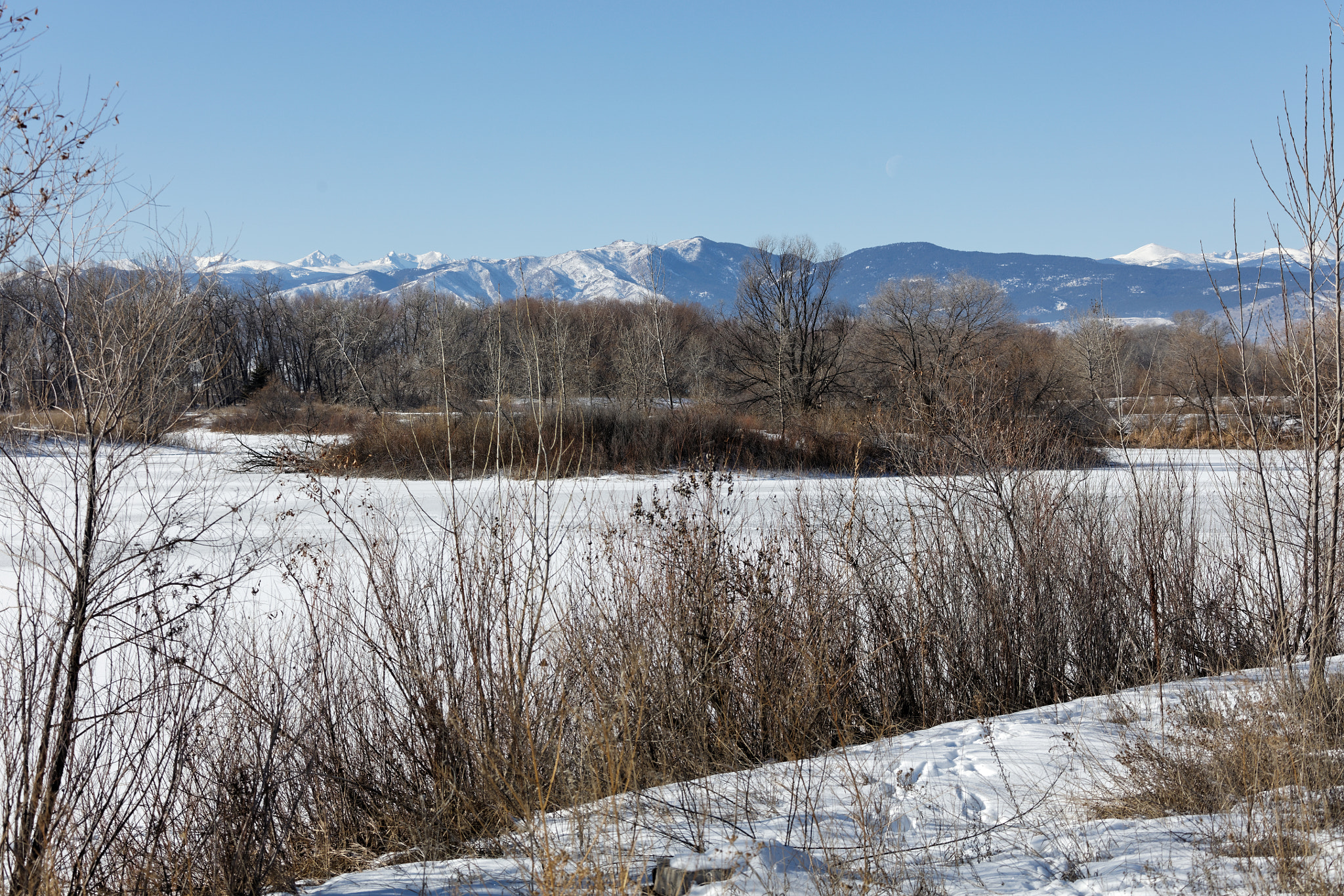 Canon EF 28-300mm F3.5-5.6L IS USM sample photo. Golden ponds, longmont, colorado photography