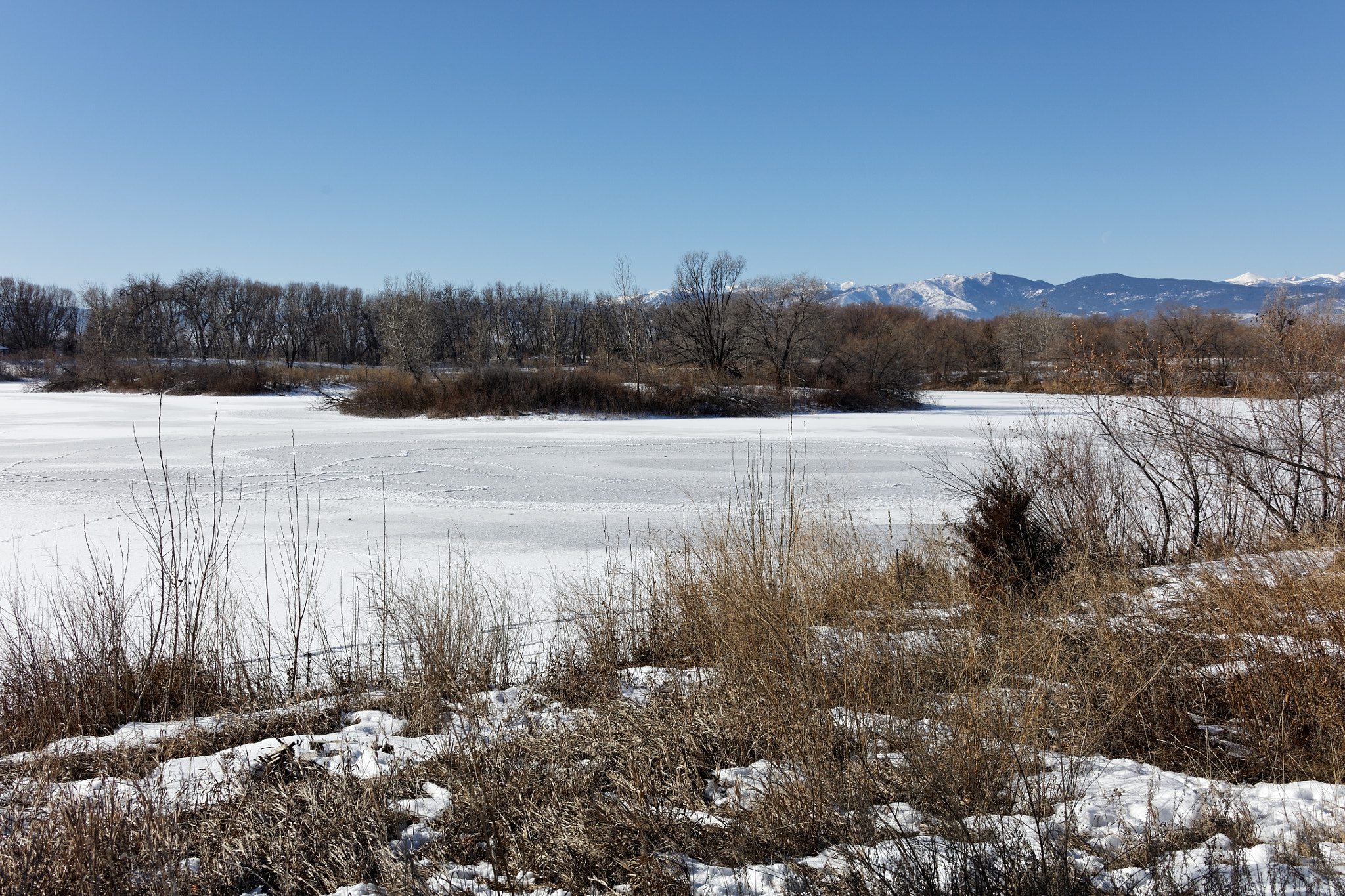 Canon EF 28-300mm F3.5-5.6L IS USM sample photo. Golden ponds, longmont, colorado photography