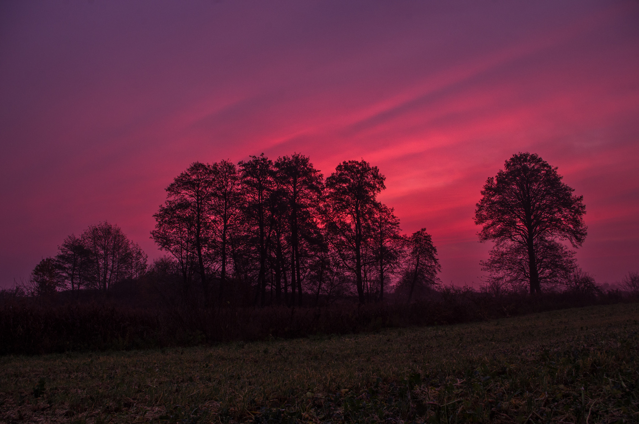 Pentax smc DA 18-55mm F3.5-5.6 ED AL II (IF) sample photo. Morning rise ii. - crimson vibe photography