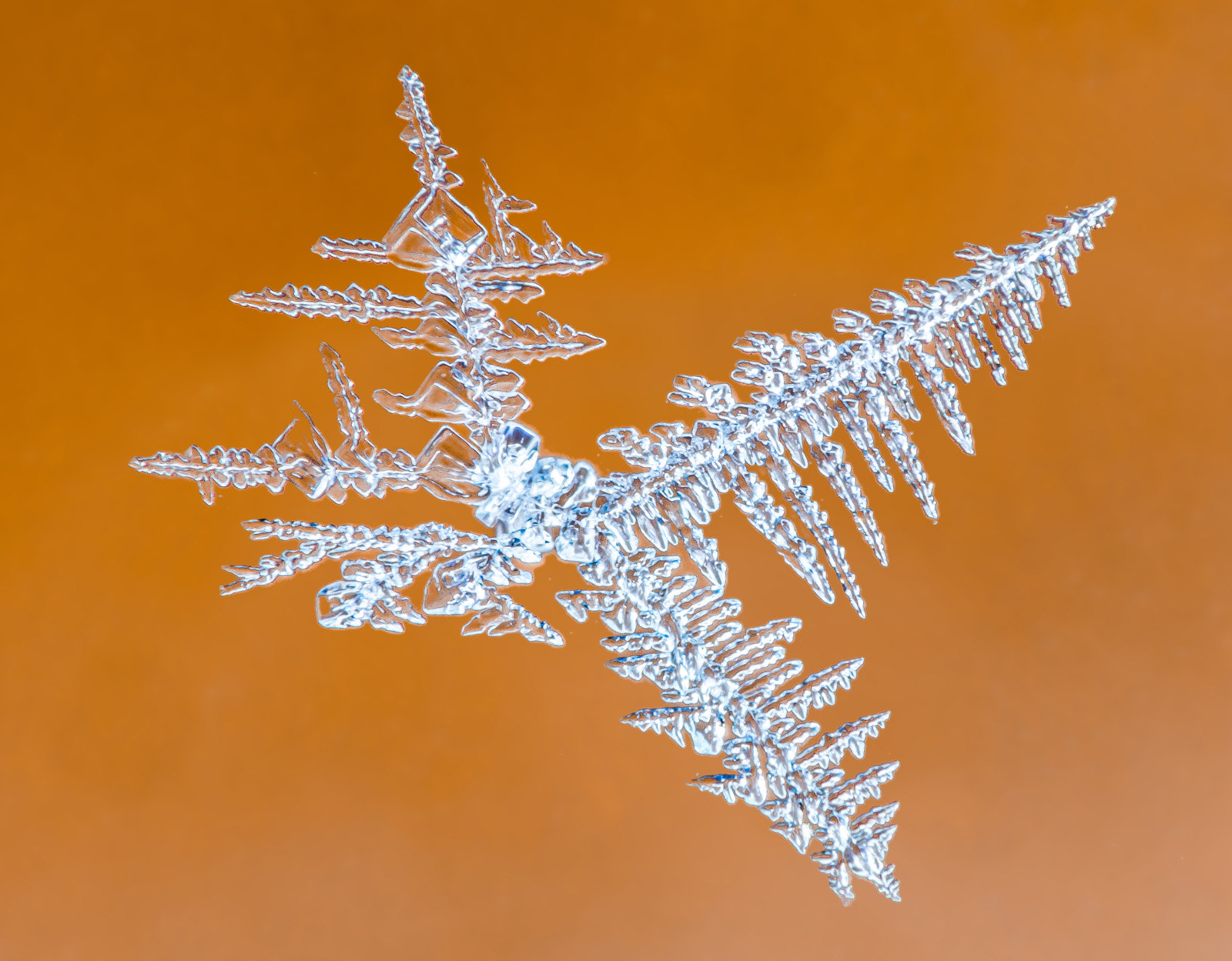 Canon EF 180mm F3.5L Macro USM sample photo. Ice crystal photography
