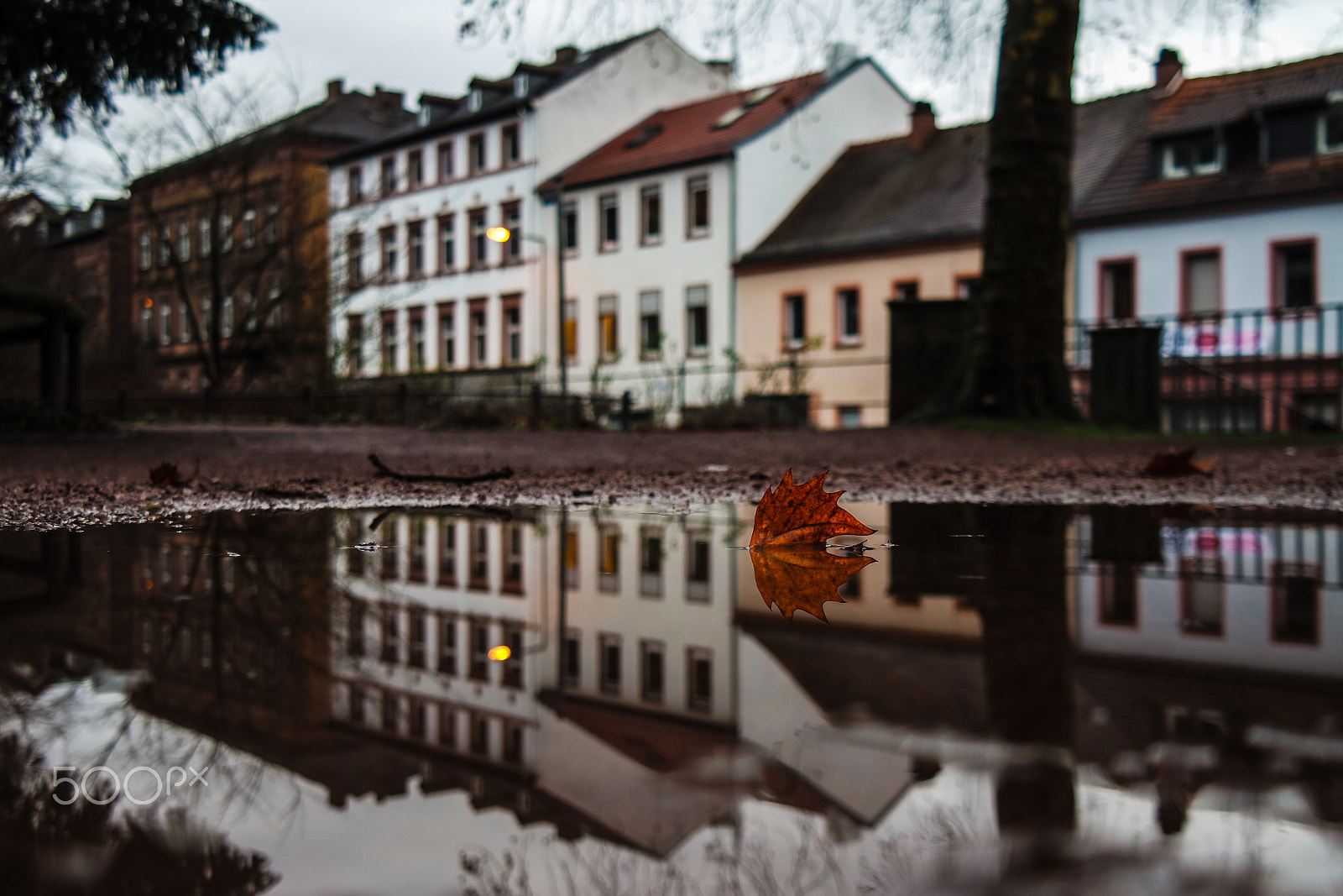 Samsung NX3000 + NX 18-55mm F3.5-5.6 sample photo. Bathing leaf photography