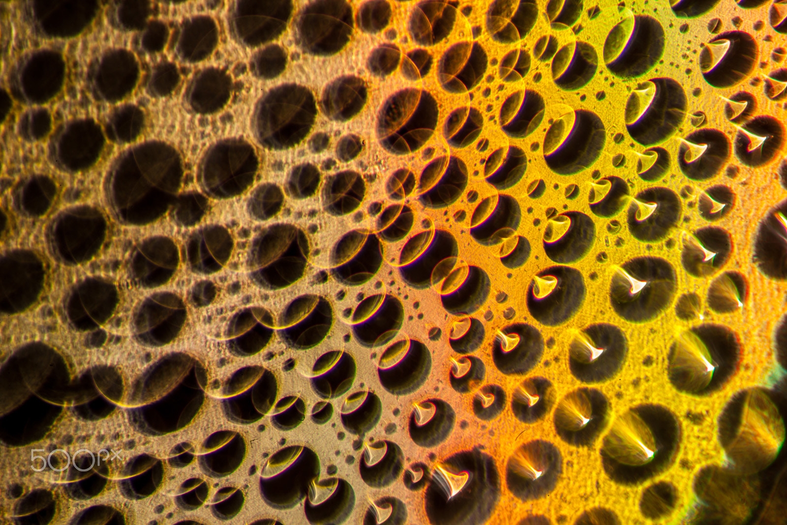 Canon EF 180mm F3.5L Macro USM sample photo. Abstract photography