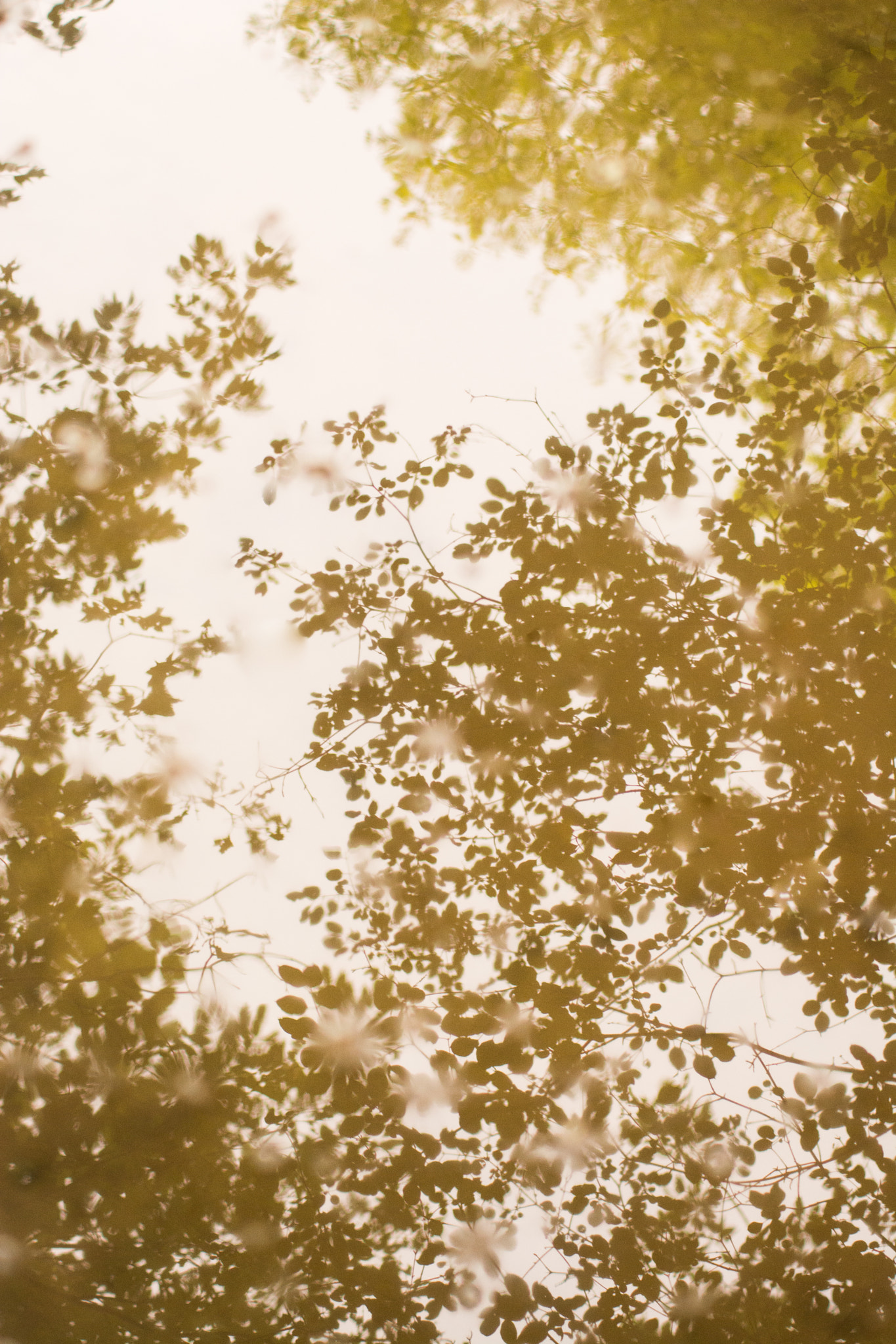 Nikon D7100 + AF Zoom-Nikkor 70-210mm f/4 sample photo. Reflections photography