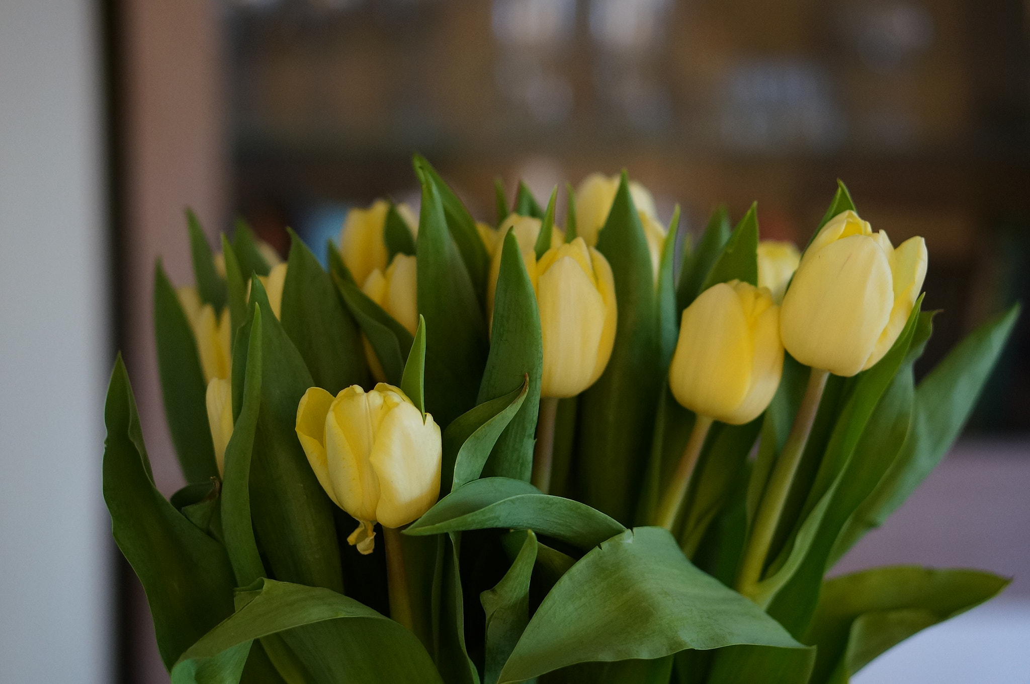 Sony Alpha NEX-6 + Sony E 50mm F1.8 OSS sample photo. Yellow tulips photography