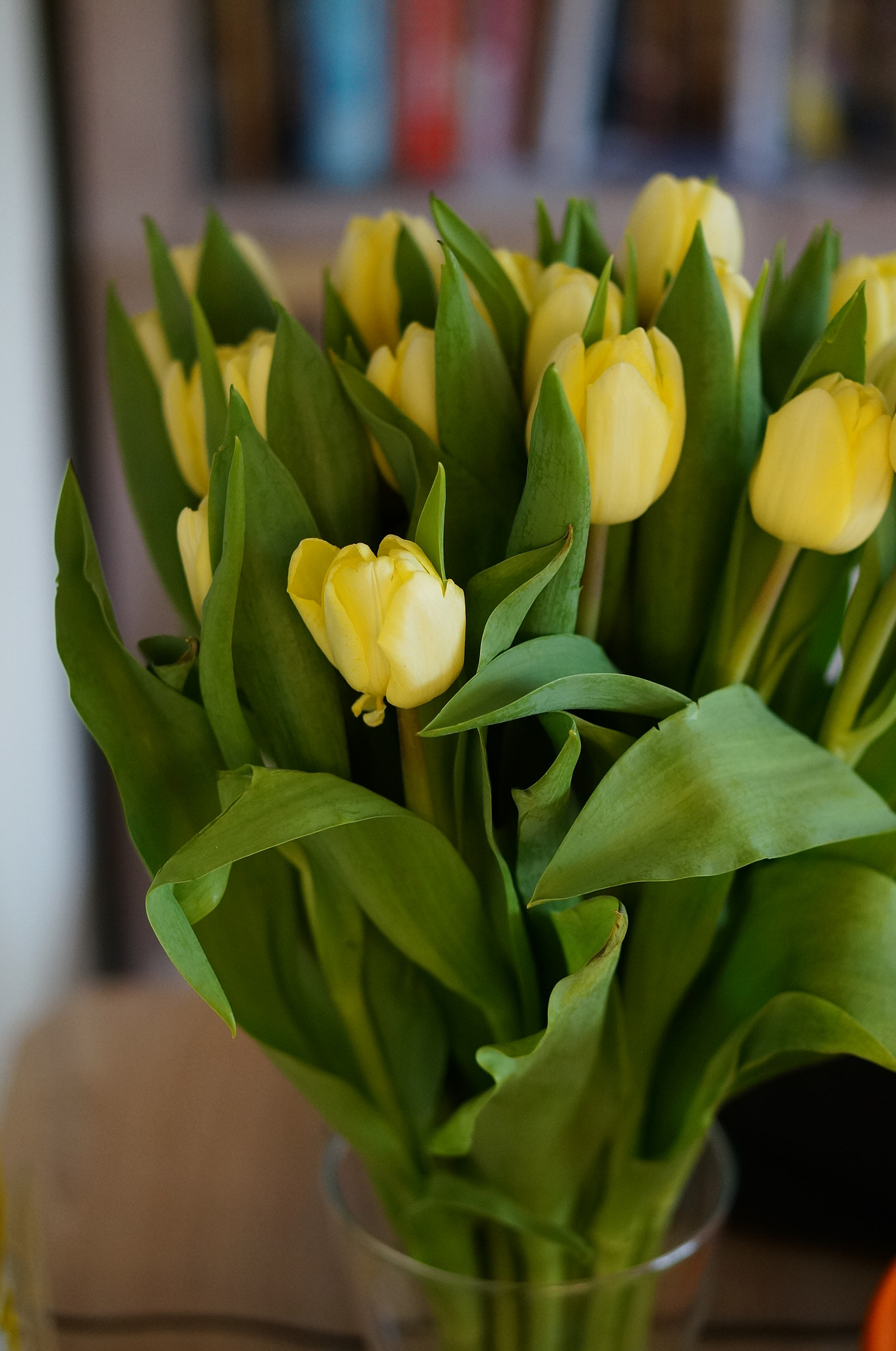 Sony Alpha NEX-6 + Sony E 50mm F1.8 OSS sample photo. Yellow tulips photography