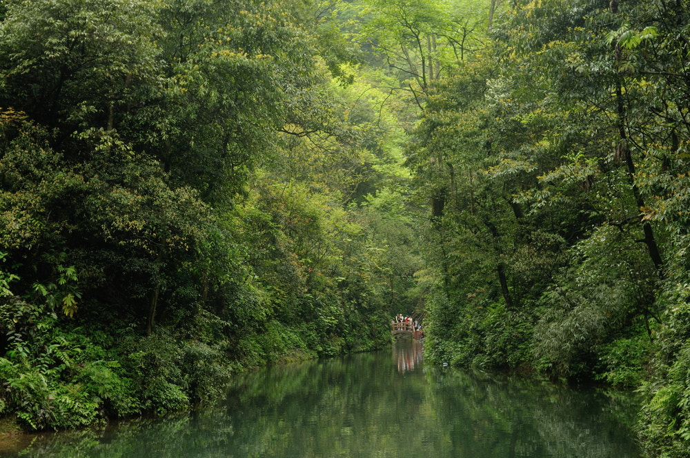 Nikon D300S + Nikon AF Nikkor 35mm F2D sample photo. 青城山半日 photography