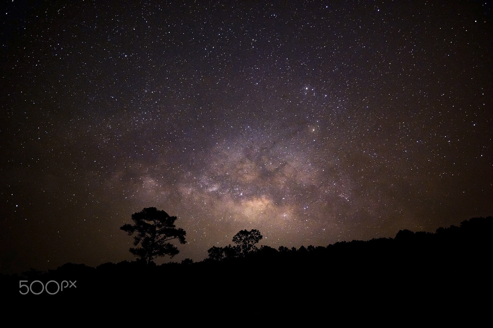 Nikon AF-S Nikkor 18-35mm F3.5-4.5G ED sample photo. The milky way at phu hin rong kla national park photography