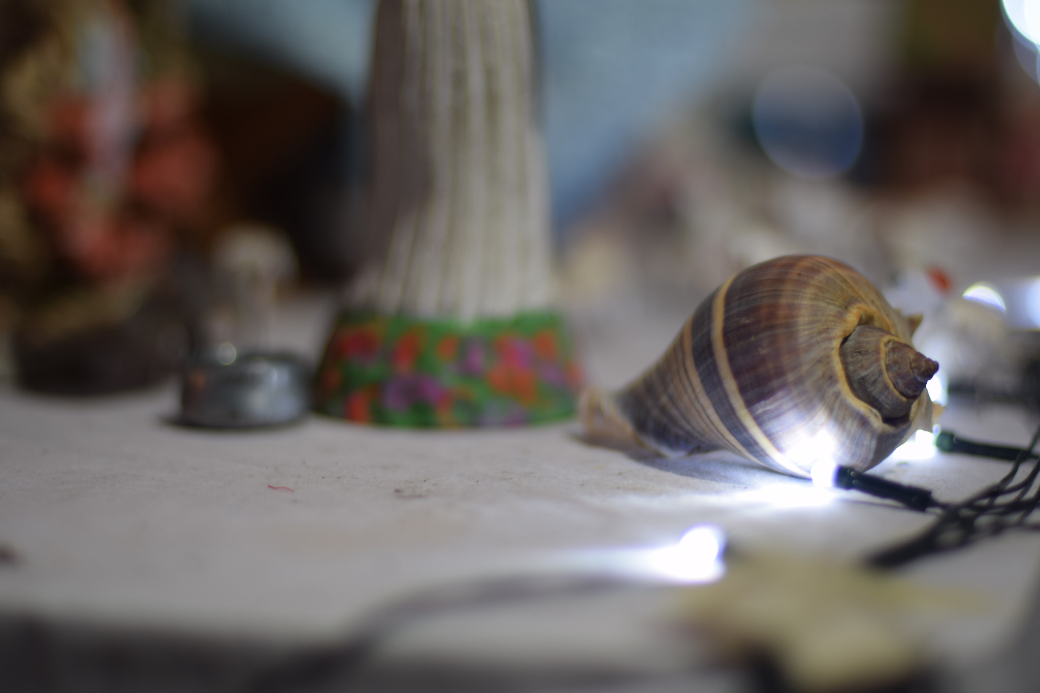 Nikon D5300 + Nikon AF Nikkor 50mm F1.4D sample photo. Caracol photography