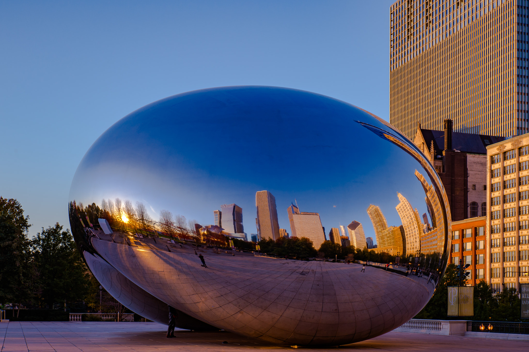 Nikon Df sample photo. The bean, photography