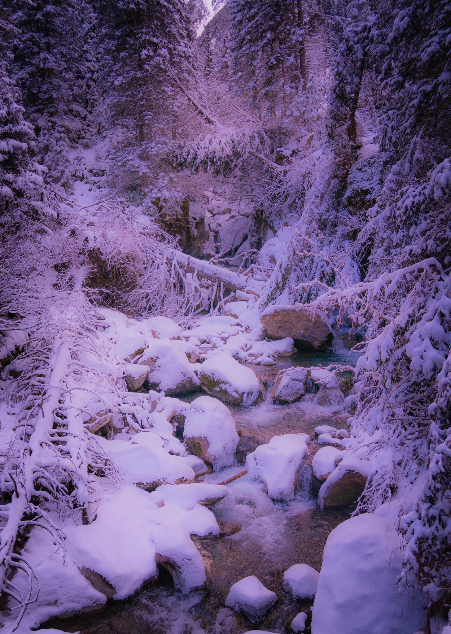 Sony E 18-200mm F3.5-6.3 OSS sample photo. Winter fairytale photography