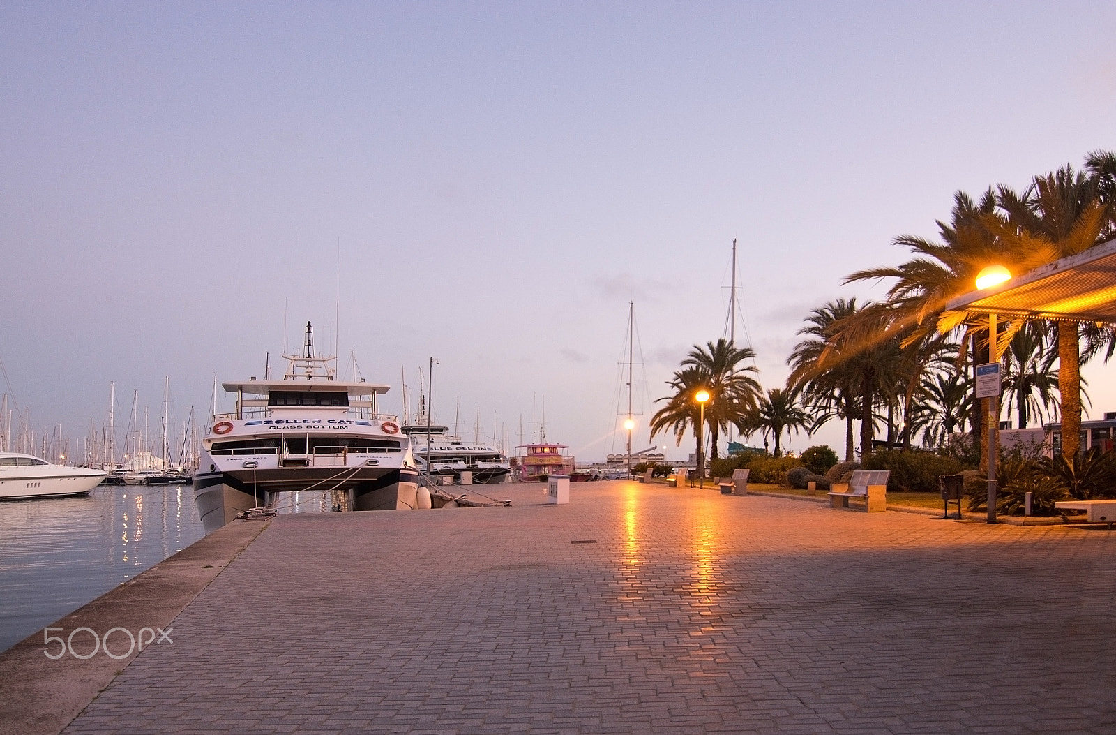 Nikon D7100 + Zeiss Milvus 35mm f/2 sample photo. Palma marina boats moored photography