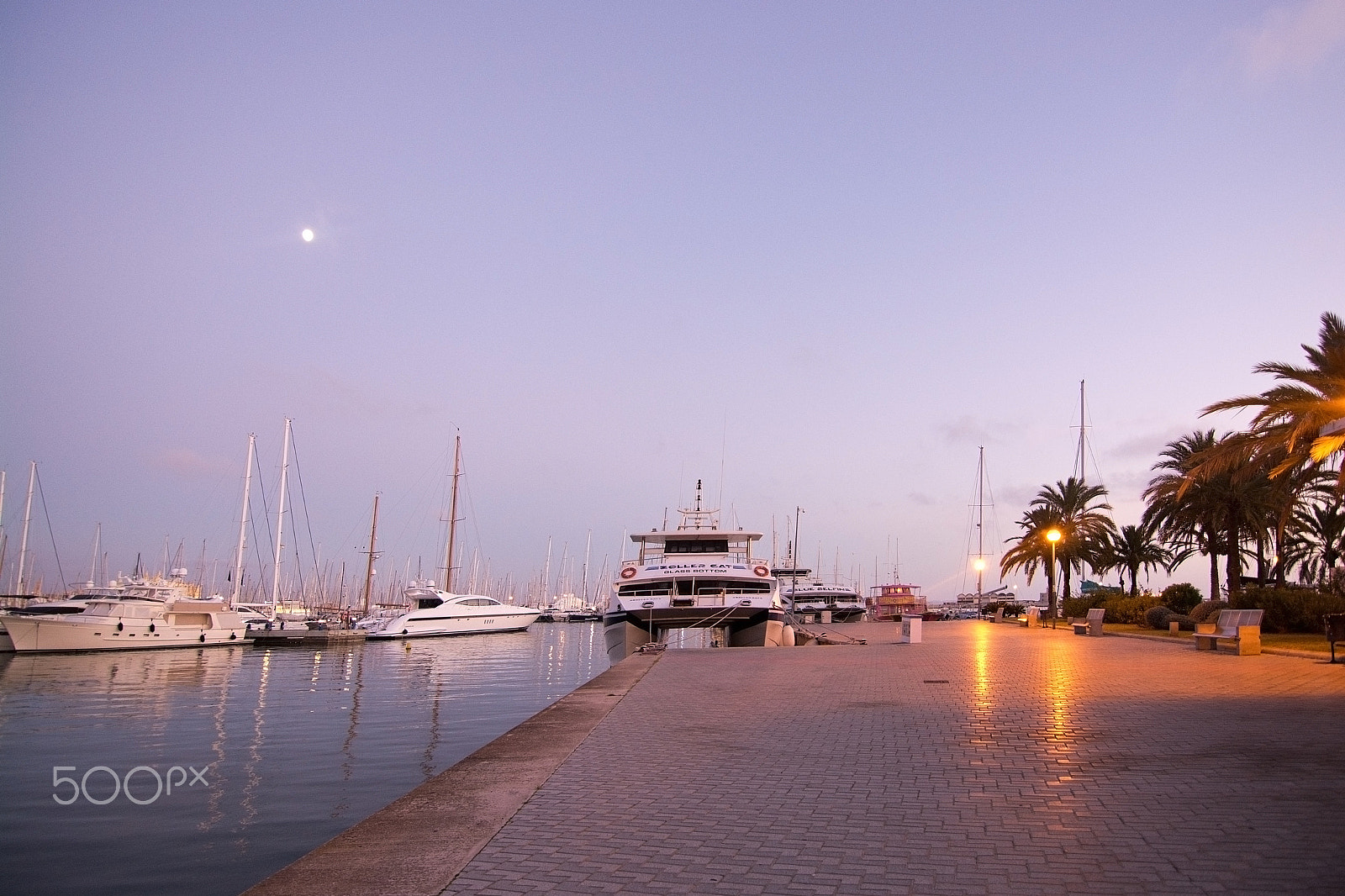 AF Zoom-Nikkor 28-80mm f/3.5-5.6D sample photo. Palma marina boats moored photography