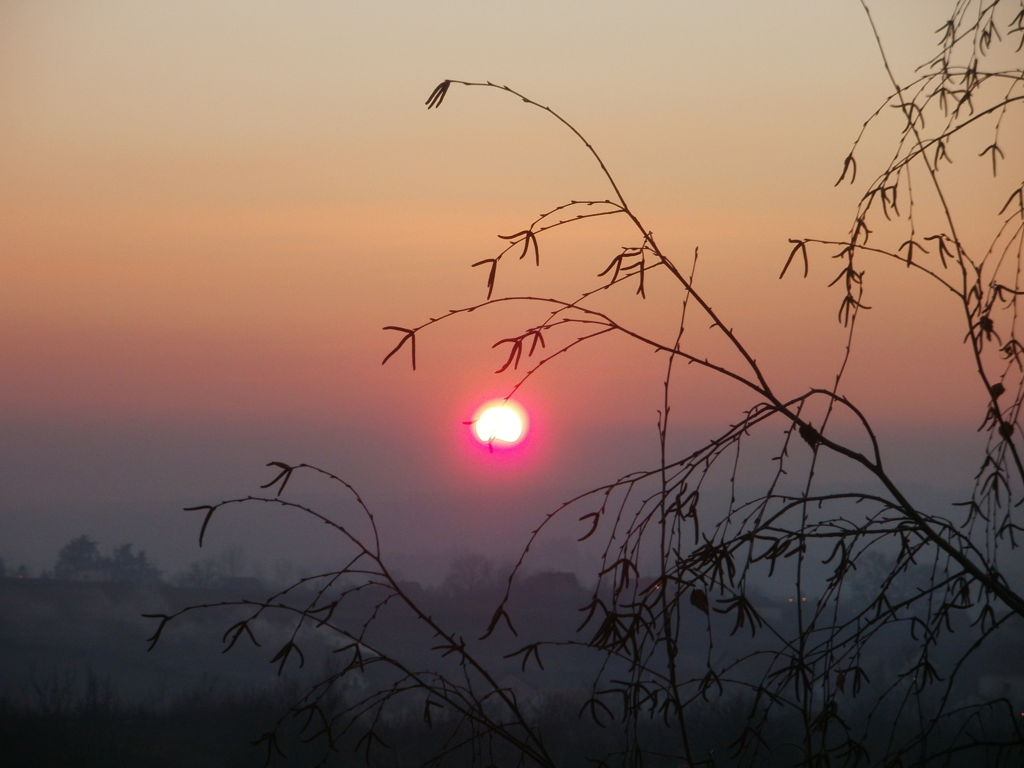 Olympus FE47,X43 sample photo. Barajevo photography